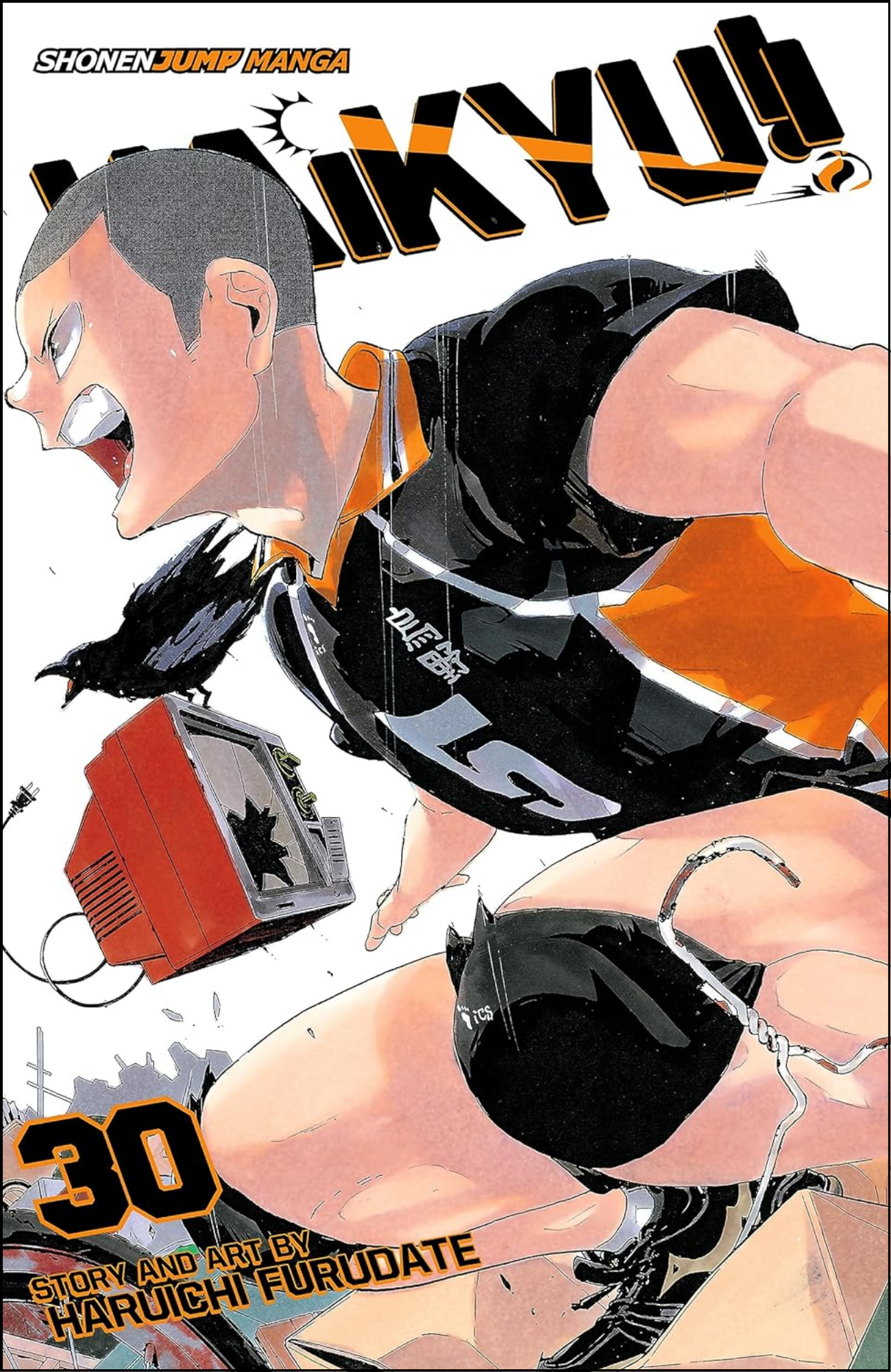 Haikyu!!, Vol. 30 by Haruichi Furudate (Author) | Full Page Print Editon