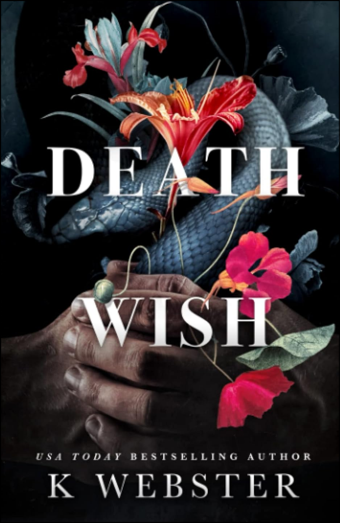 Death Wish by K Webster (Author)