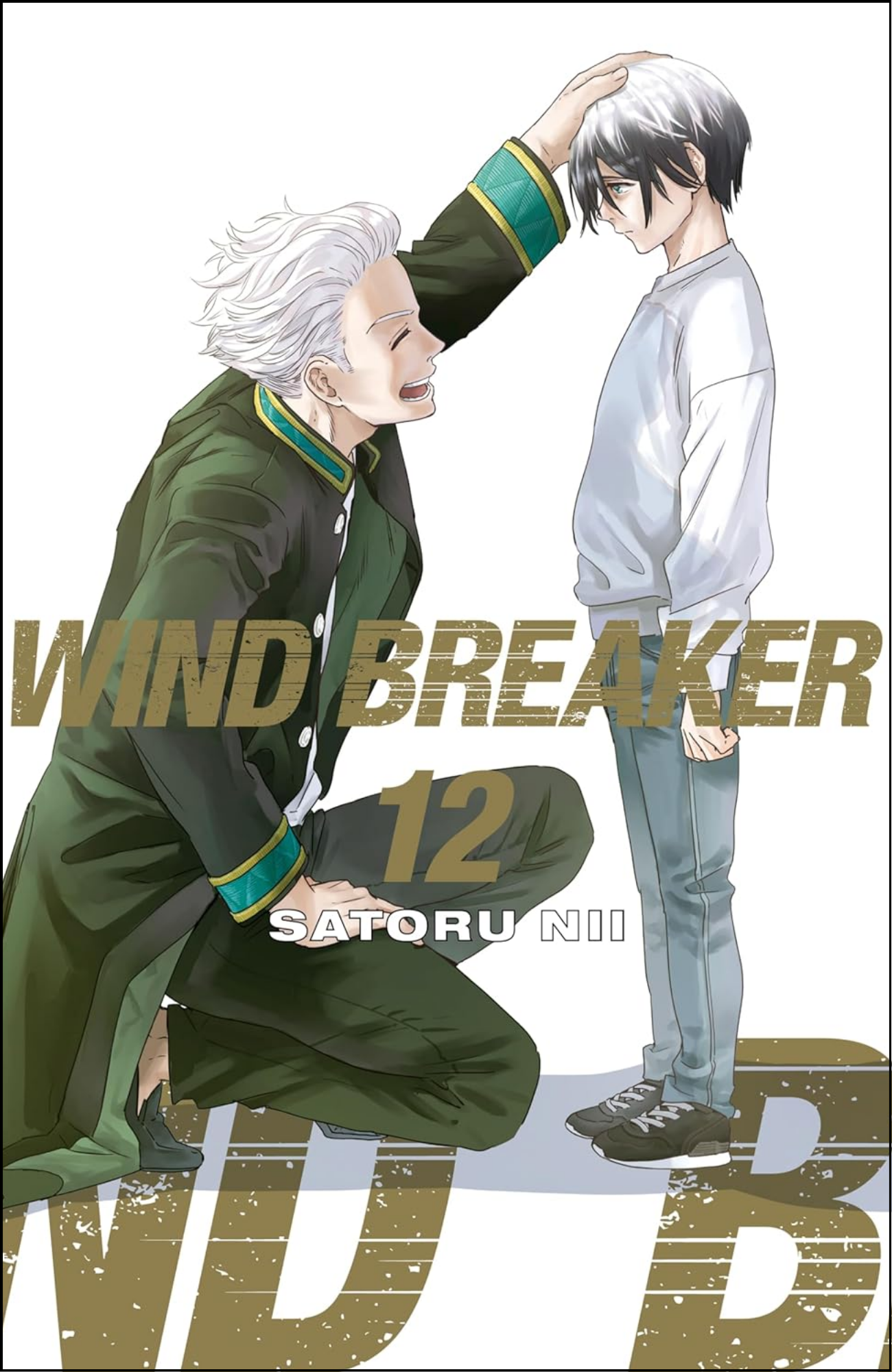 WIND BREAKER Vol. 12 by Satoru Nii (Author, Artist) | Full Page Print Editon