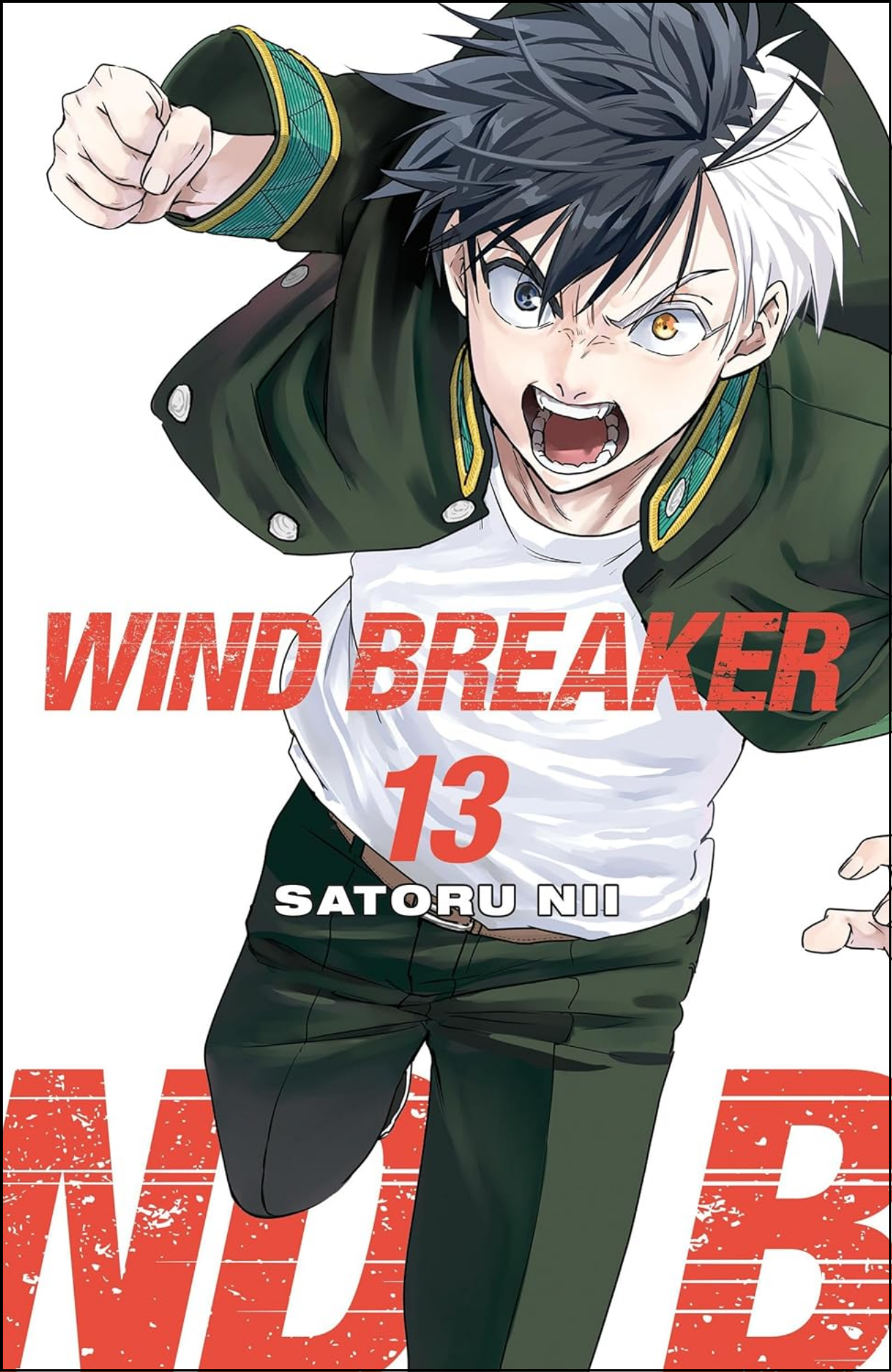 WIND BREAKER Vol. 13 by Satoru Nii (Author, Artist) | Full Page Print Editon