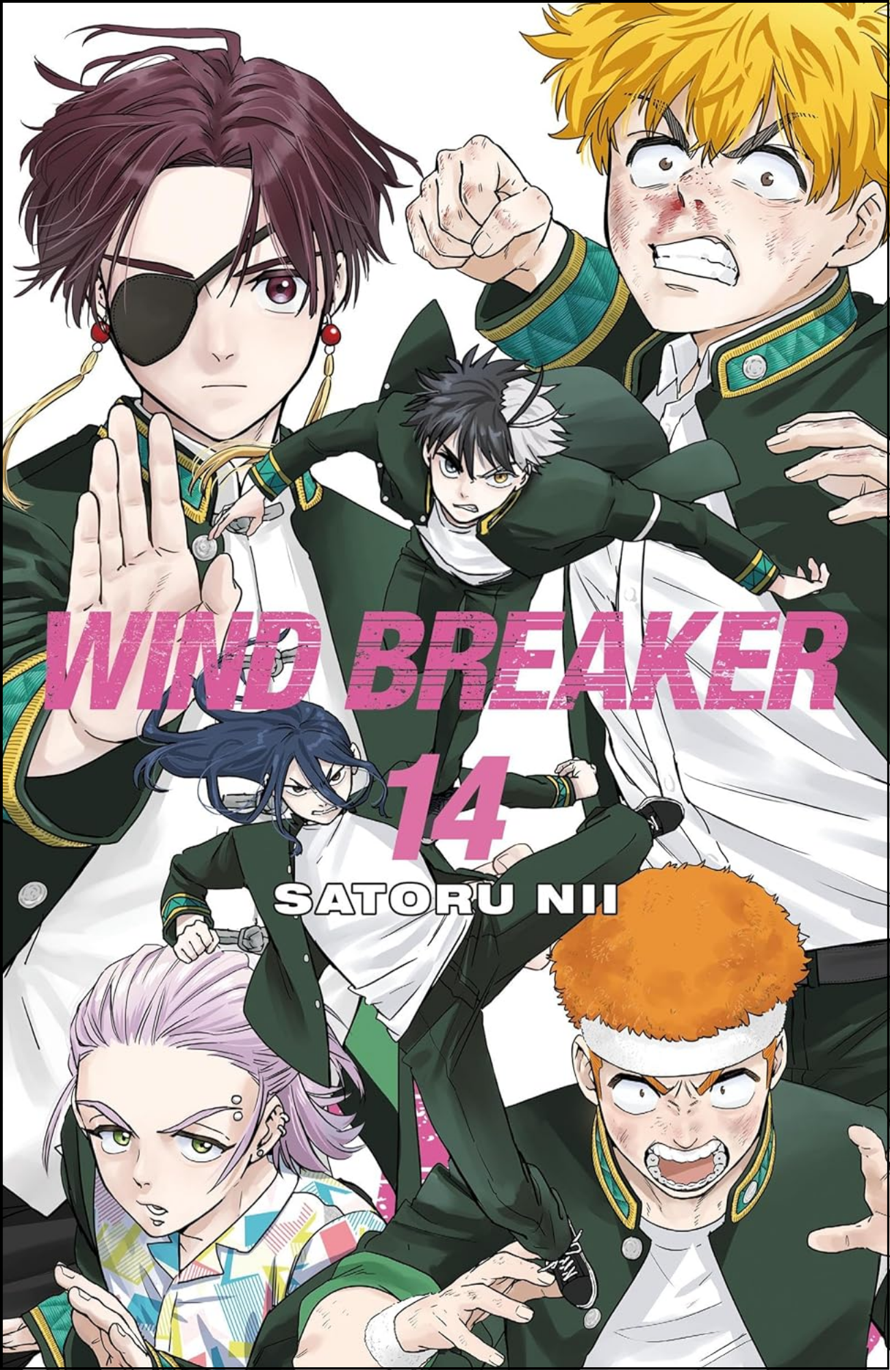WIND BREAKER Vol. 14 by Satoru Nii (Author, Artist) | Full Page Print Editon