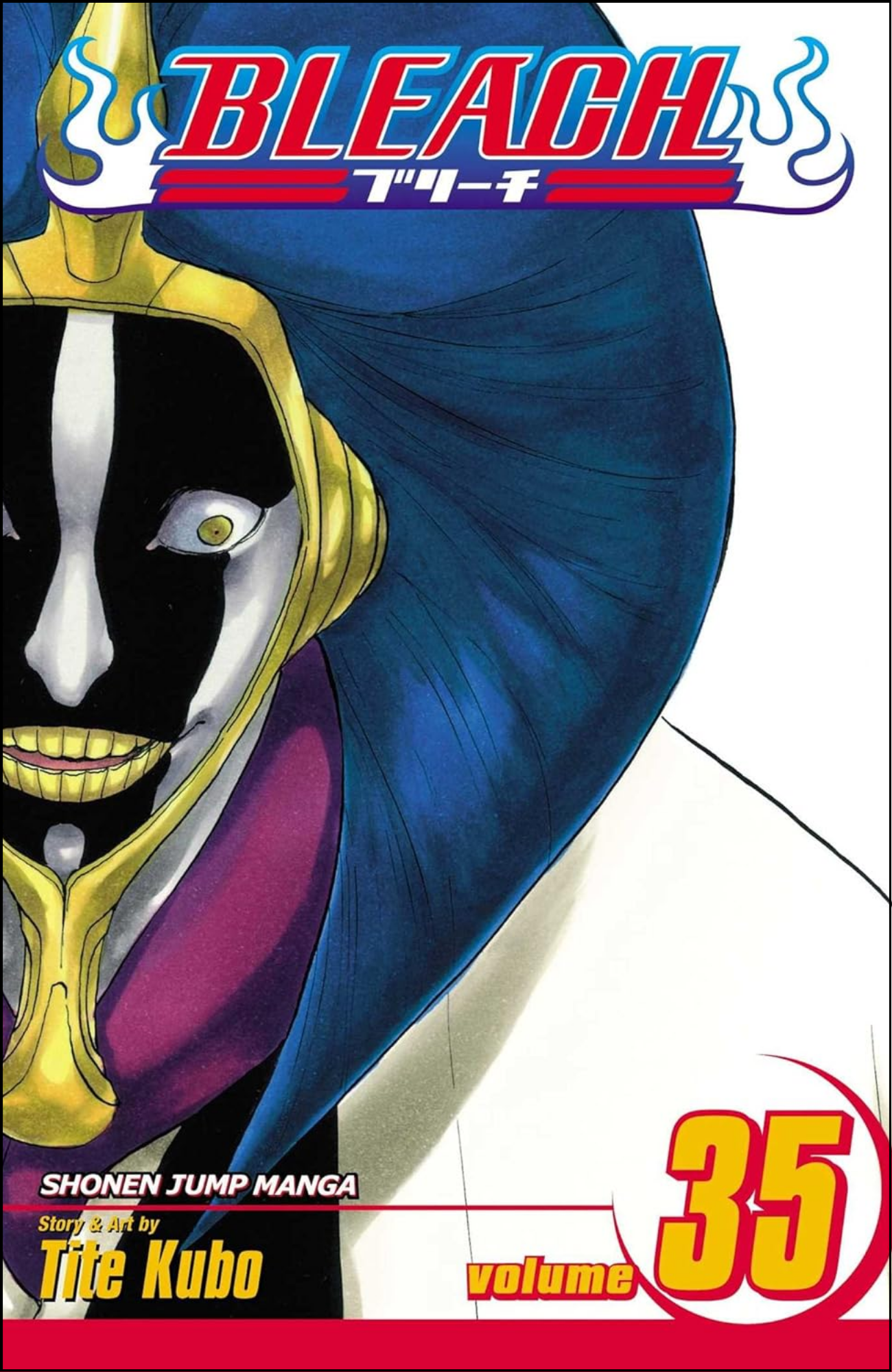 Bleach, Vol. 35 by Tite Kubo (Author) | Full Page Print Editon