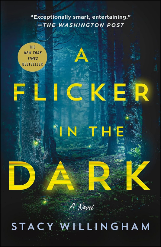 Flicker in the Dark by Stacy Willingham (Author)