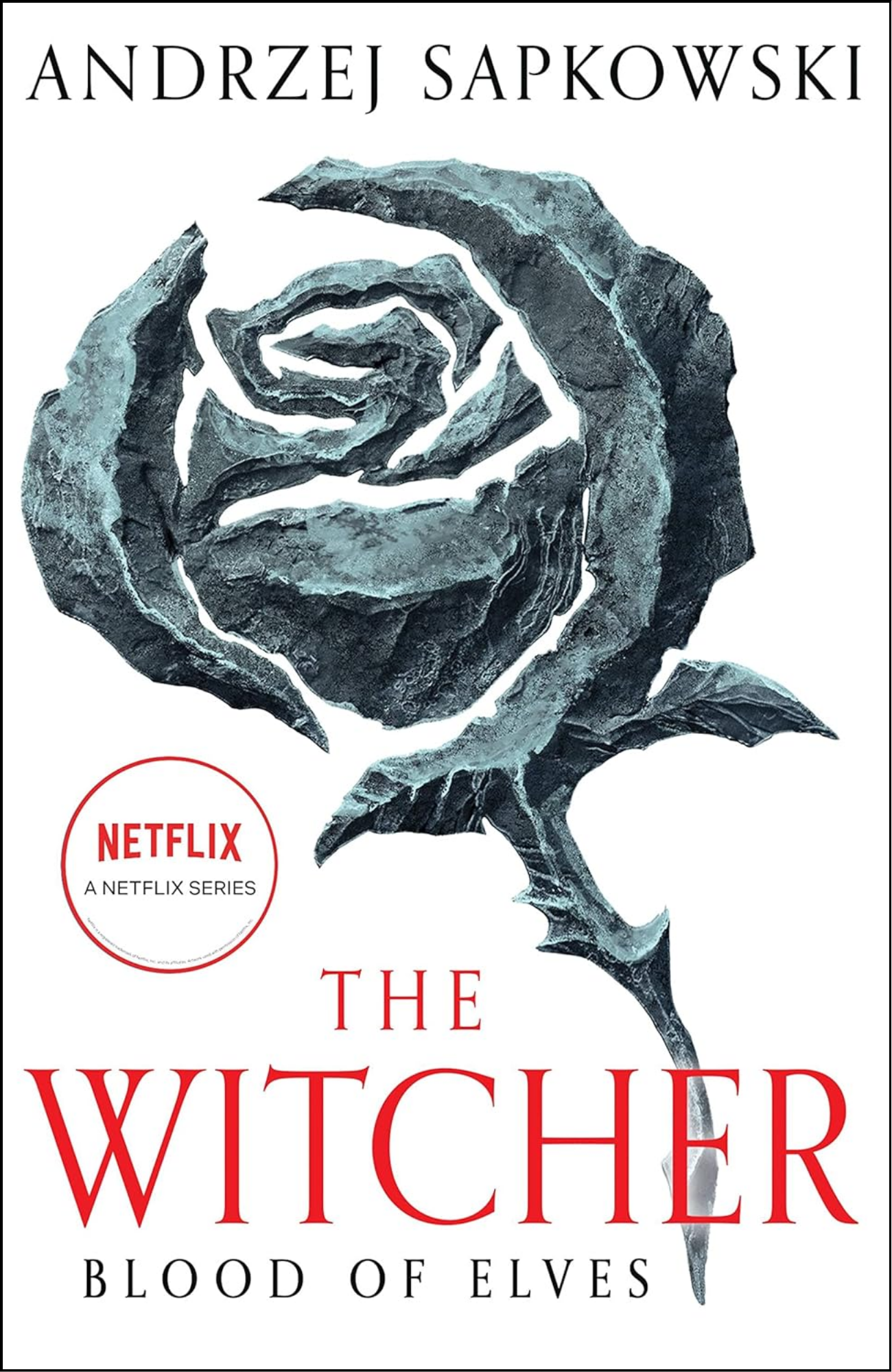 Blood of Elves by Andrzej Sapkowski (Author)