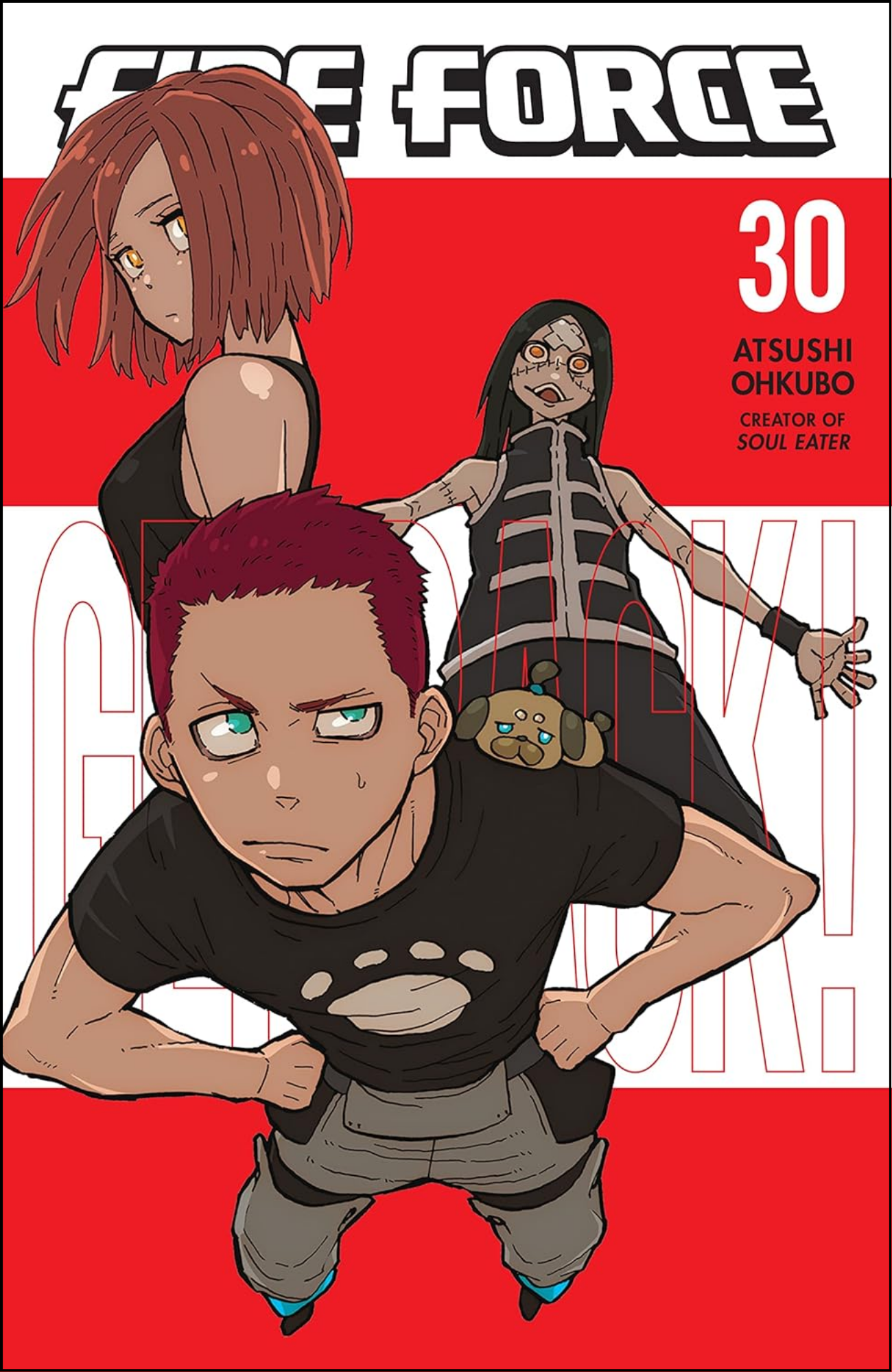 Fire Force Vol. 30 by Atsushi Ohkubo (Author, Artist) | Full Page Print Editon