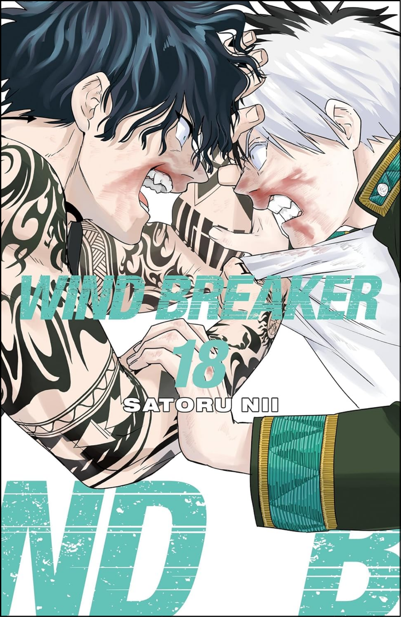 WIND BREAKER Vol. 18 by Satoru Nii (Author, Artist) | Full Page Print Editon