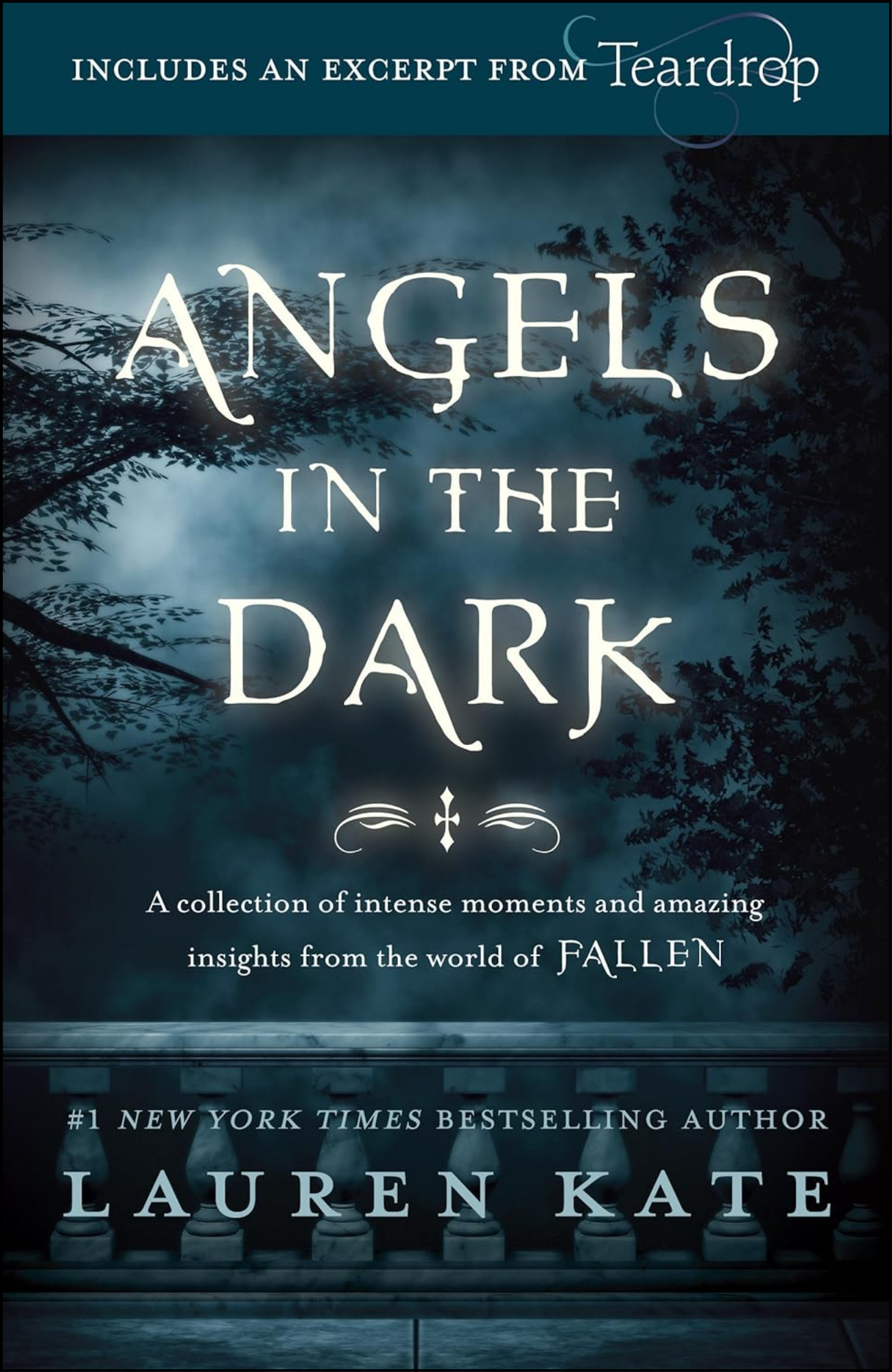 Angels in the Dark by Lauren Kate (Author)