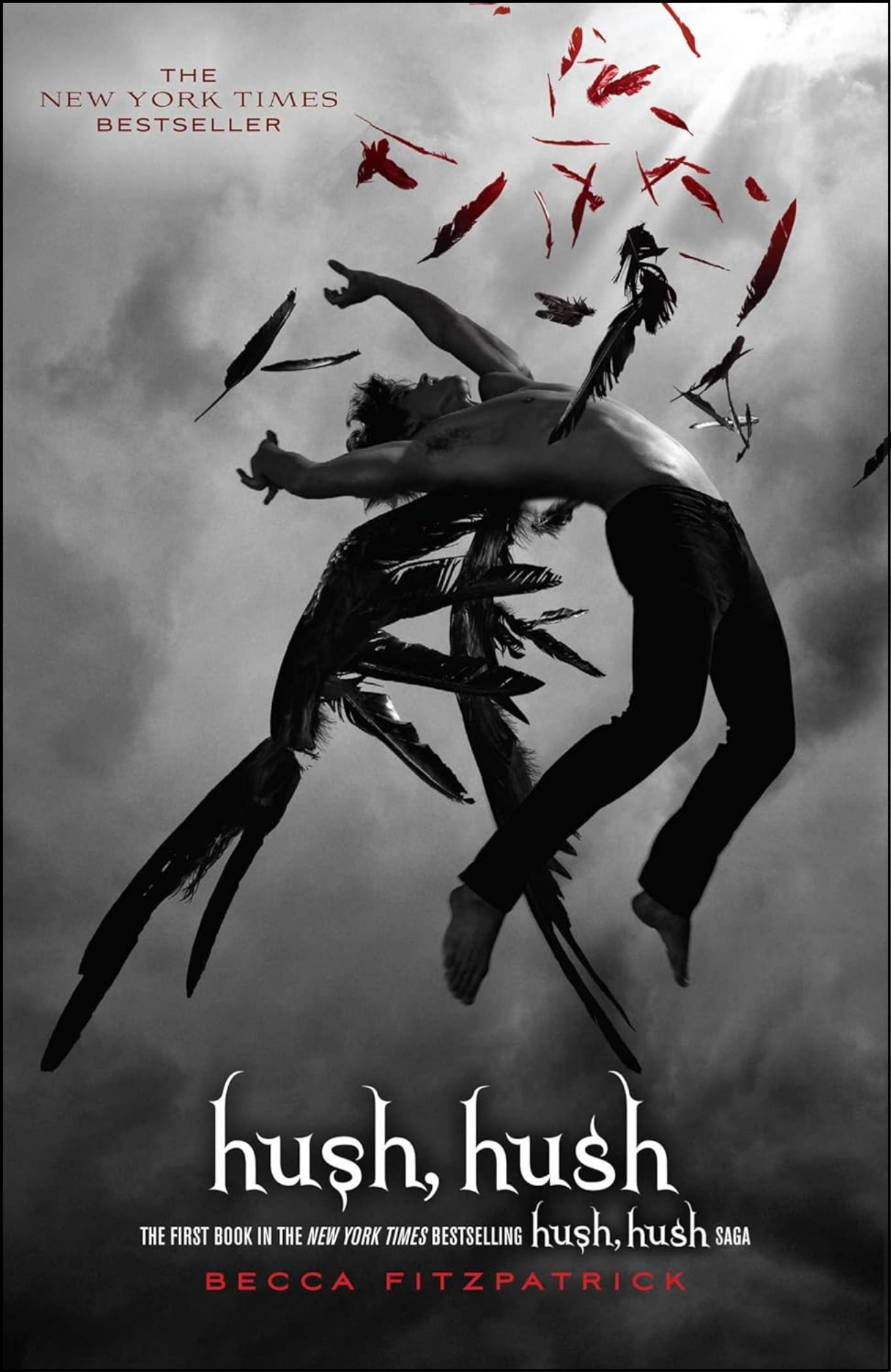 Hush, Hush by Becca Fitzpatrick (Author)