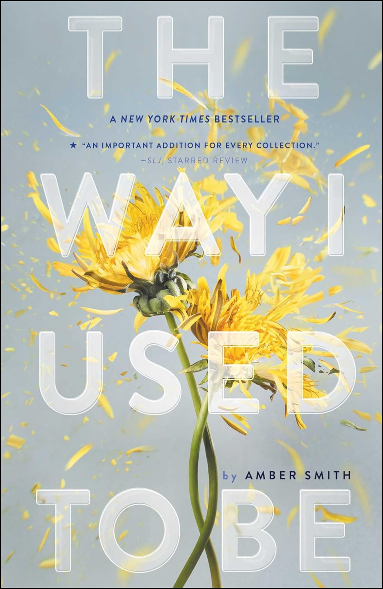 The Way I Used to Be by Amber Smith (Author)