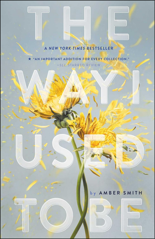 The Way I Used to Be by Amber Smith (Author)