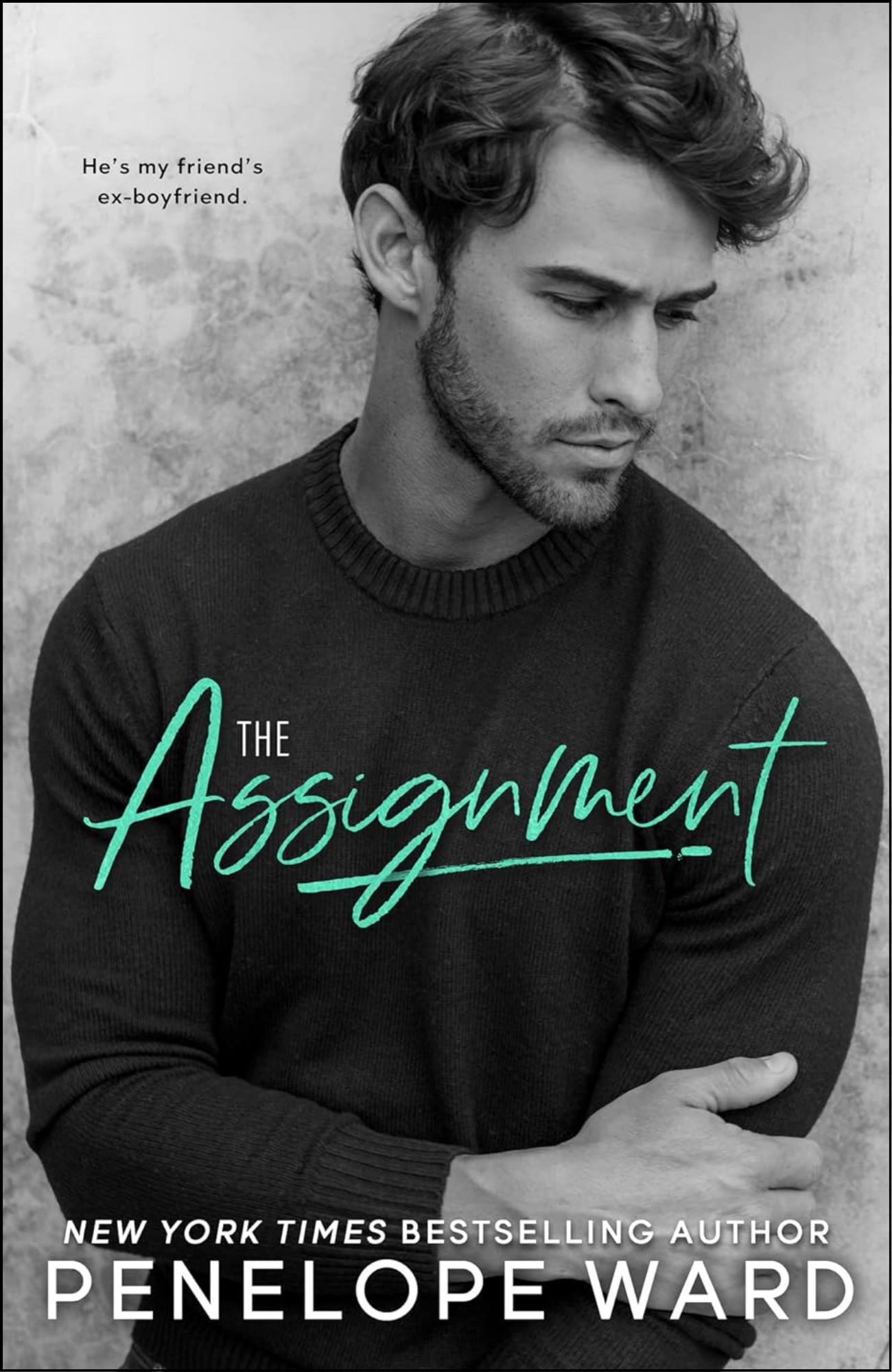The Assignment by Penelope Ward (Author)