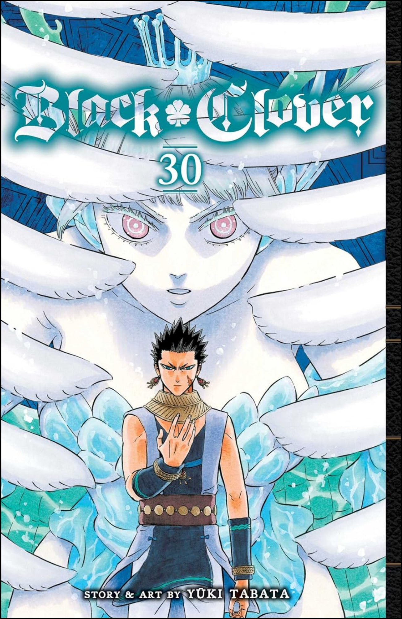 Black Clover, Vol. 30 by Yūki Tabata (Author) | Full Page Print Editon