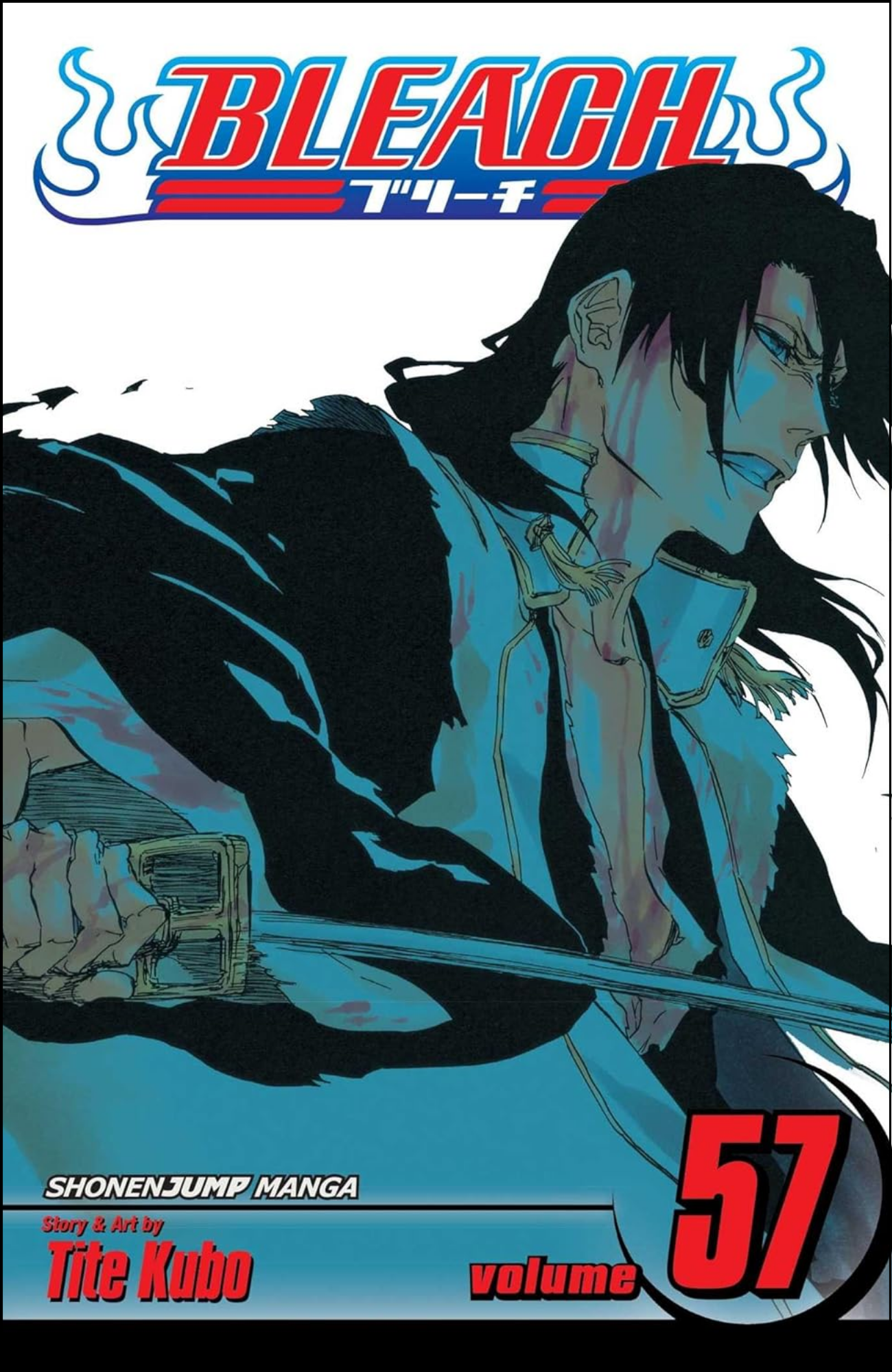 Bleach, Vol. 57 by Tite Kubo (Author) | Full Page Print Editon