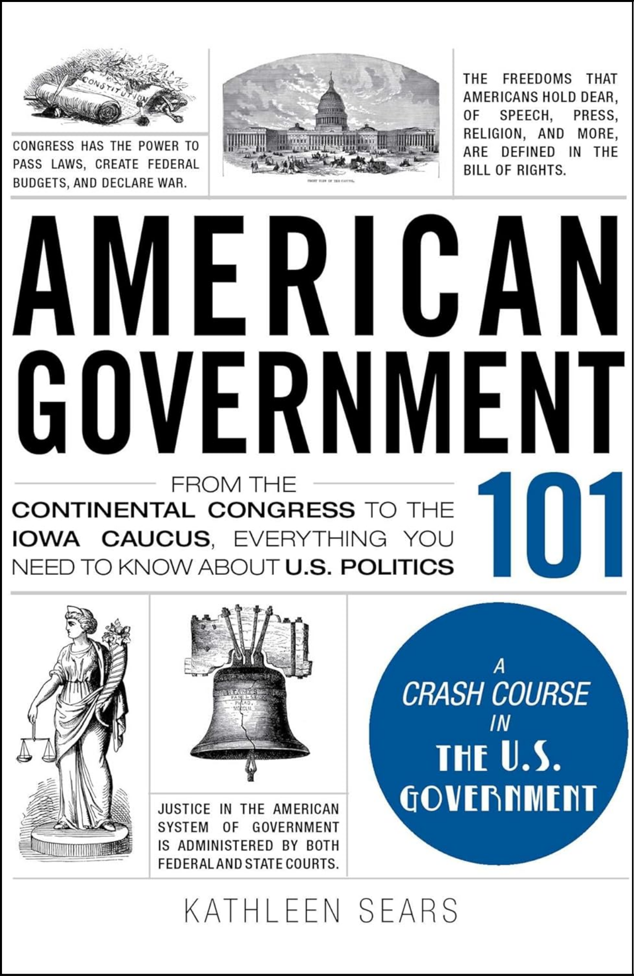 American Government 101 by Paul Kleinman (Author)