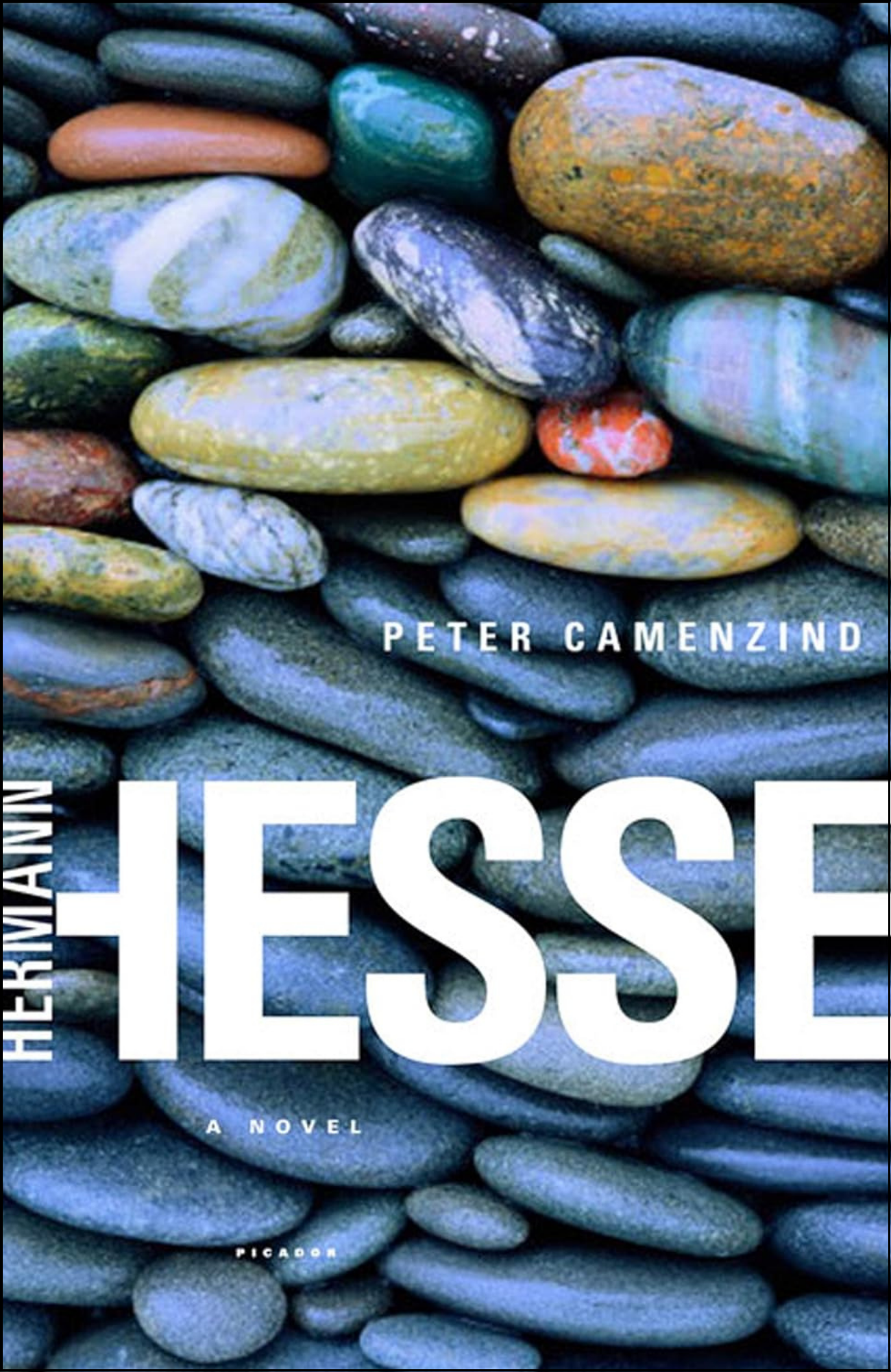 Peter Camenzind by Hermann Hesse (Author)