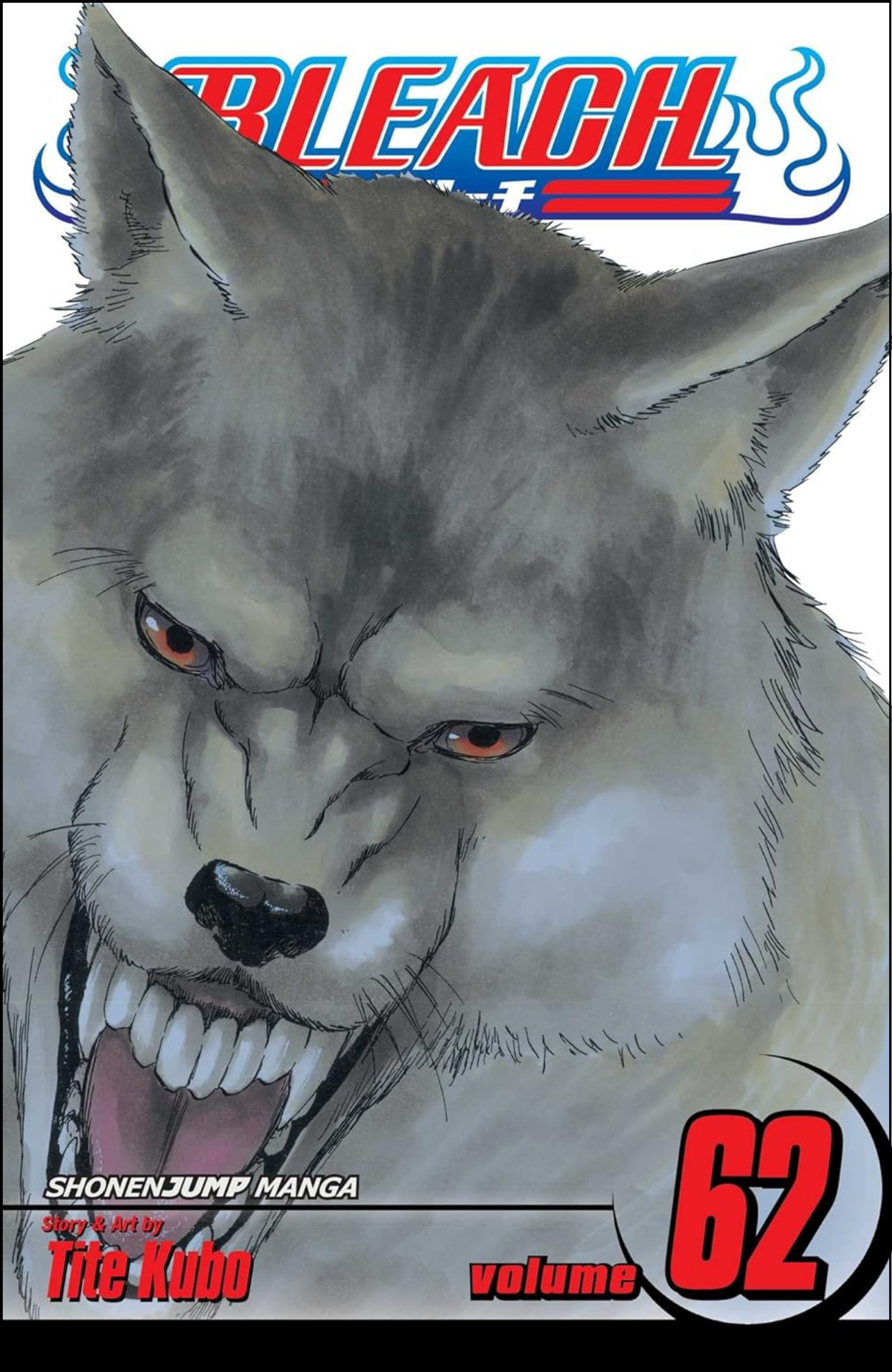 Bleach, Vol. 62 by Tite Kubo (Author) | Full Page Print Editon