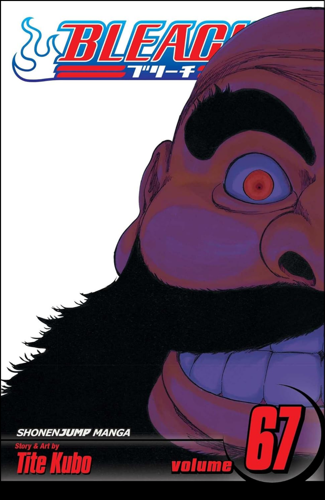 Bleach, Vol. 67 by Tite Kubo (Author) | Full Page Print Editon