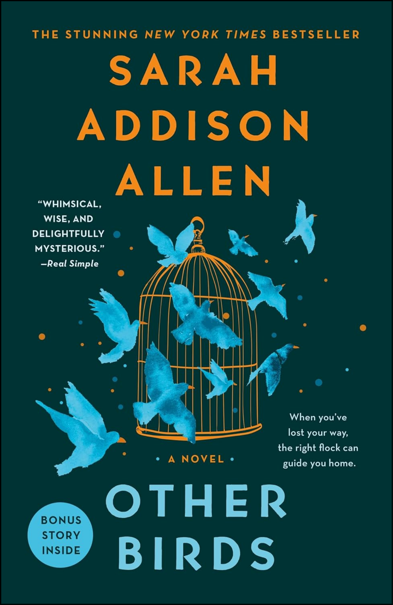 Other Birds Book by Sarah Addison Allen (Author)