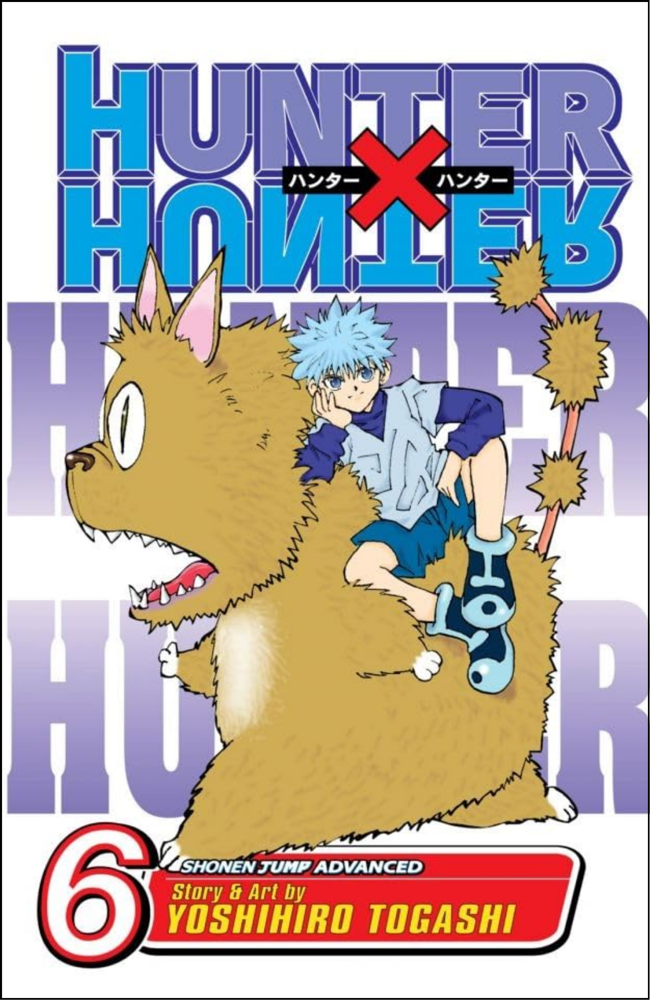 Hunter x Hunter, Vol. 6 by Yoshihiro Togashi (Author) | Full Page Print Editon