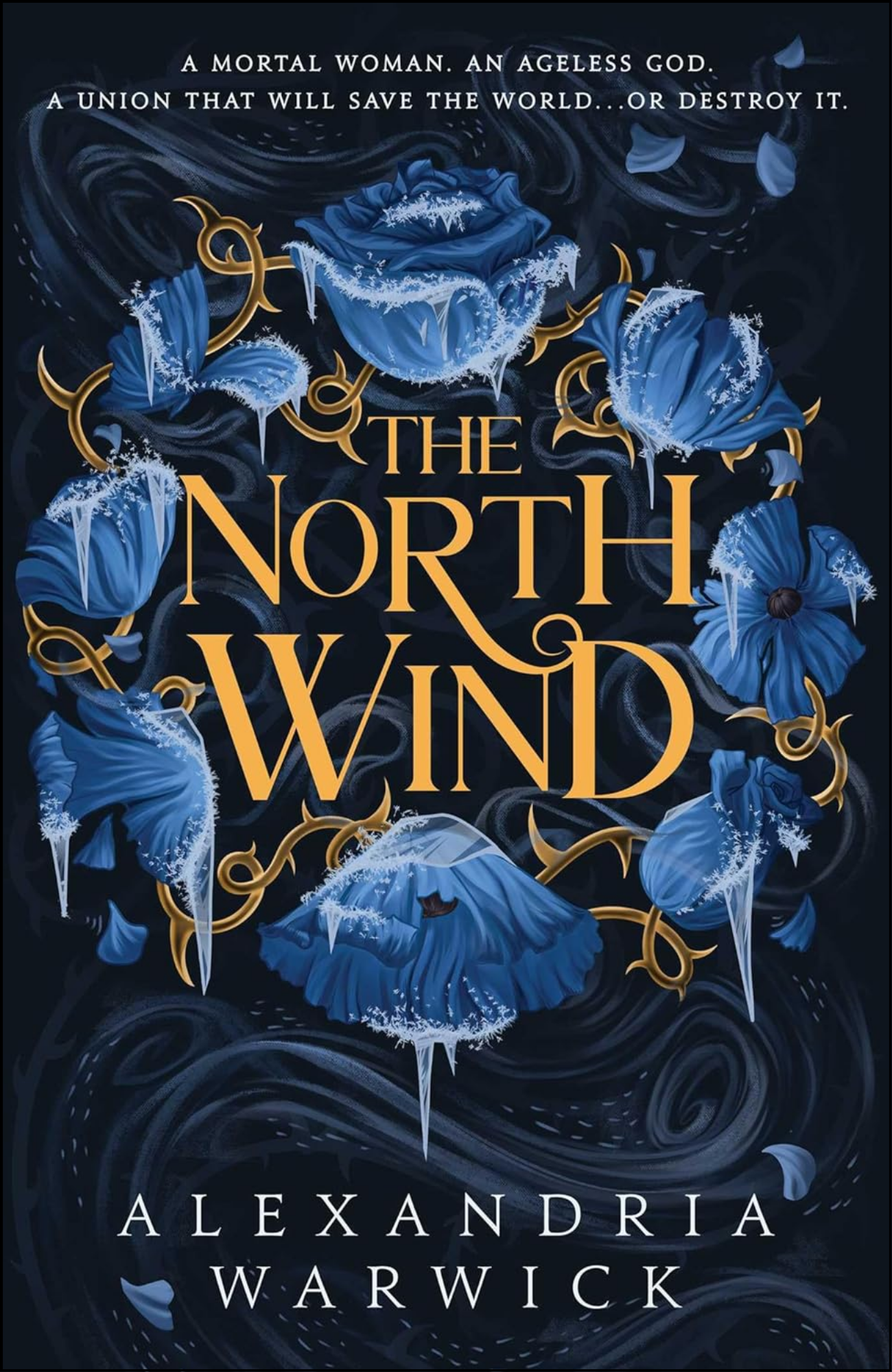 The North Wind by Alexandria Warwick (Author)