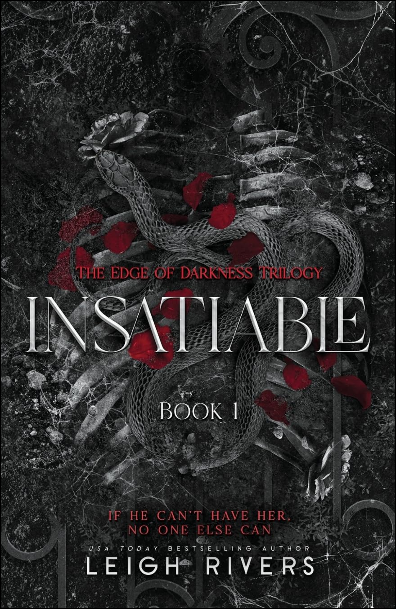 Insatiable by Leigh Rivers (Author)