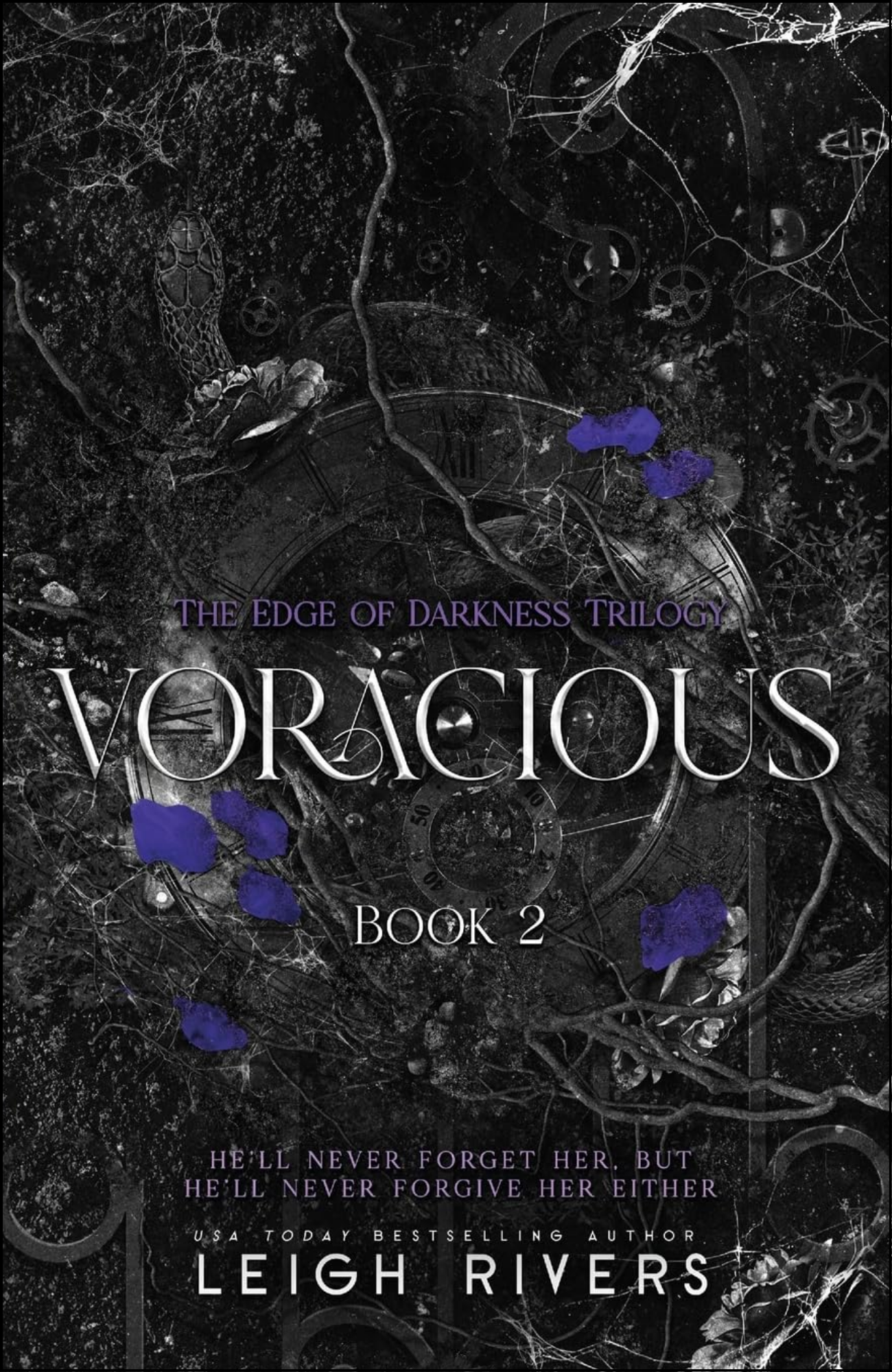 Voracious by Leigh Rivers (Author)