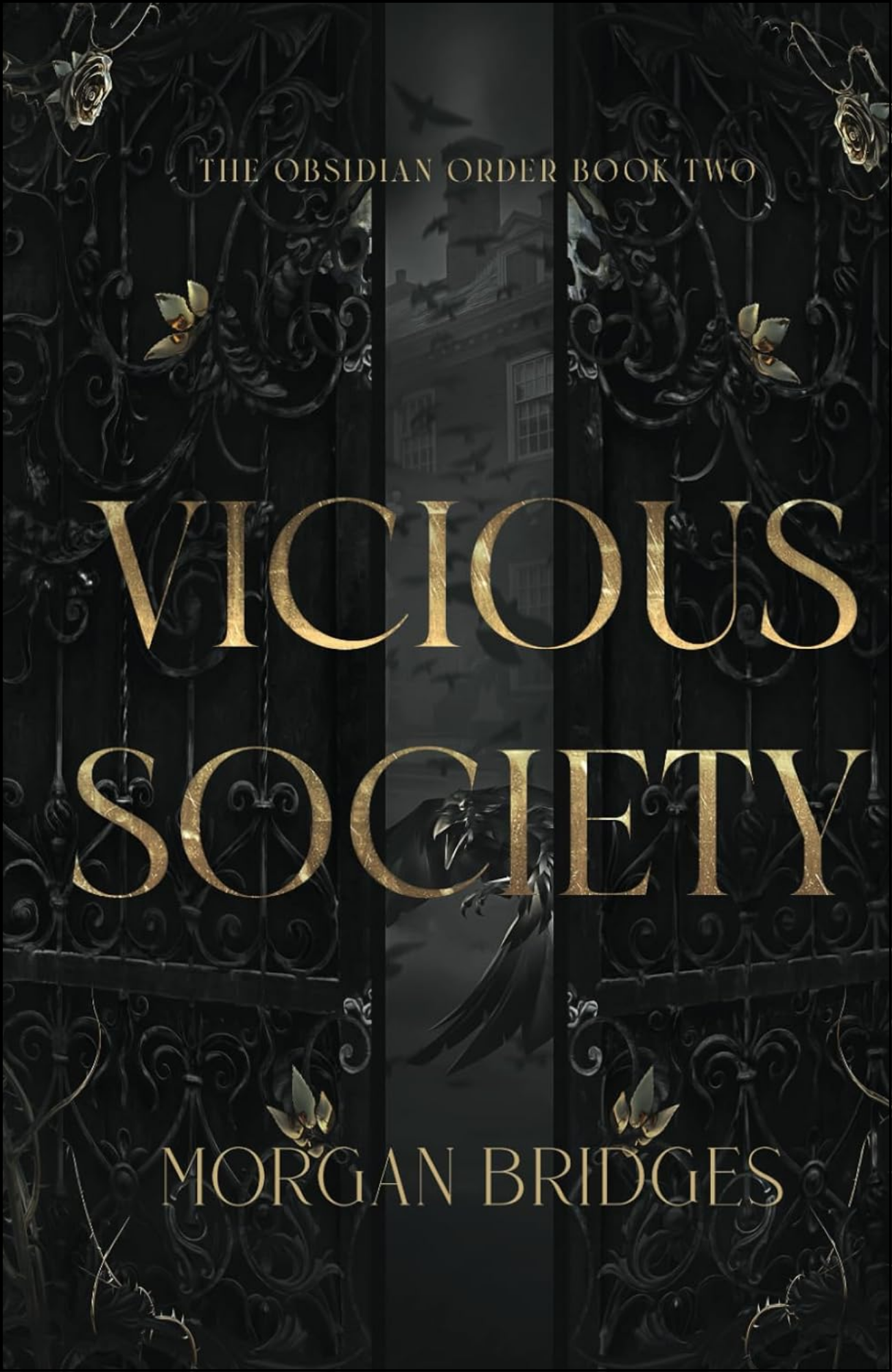 Vicious Society by Morgan Bridges (Author)