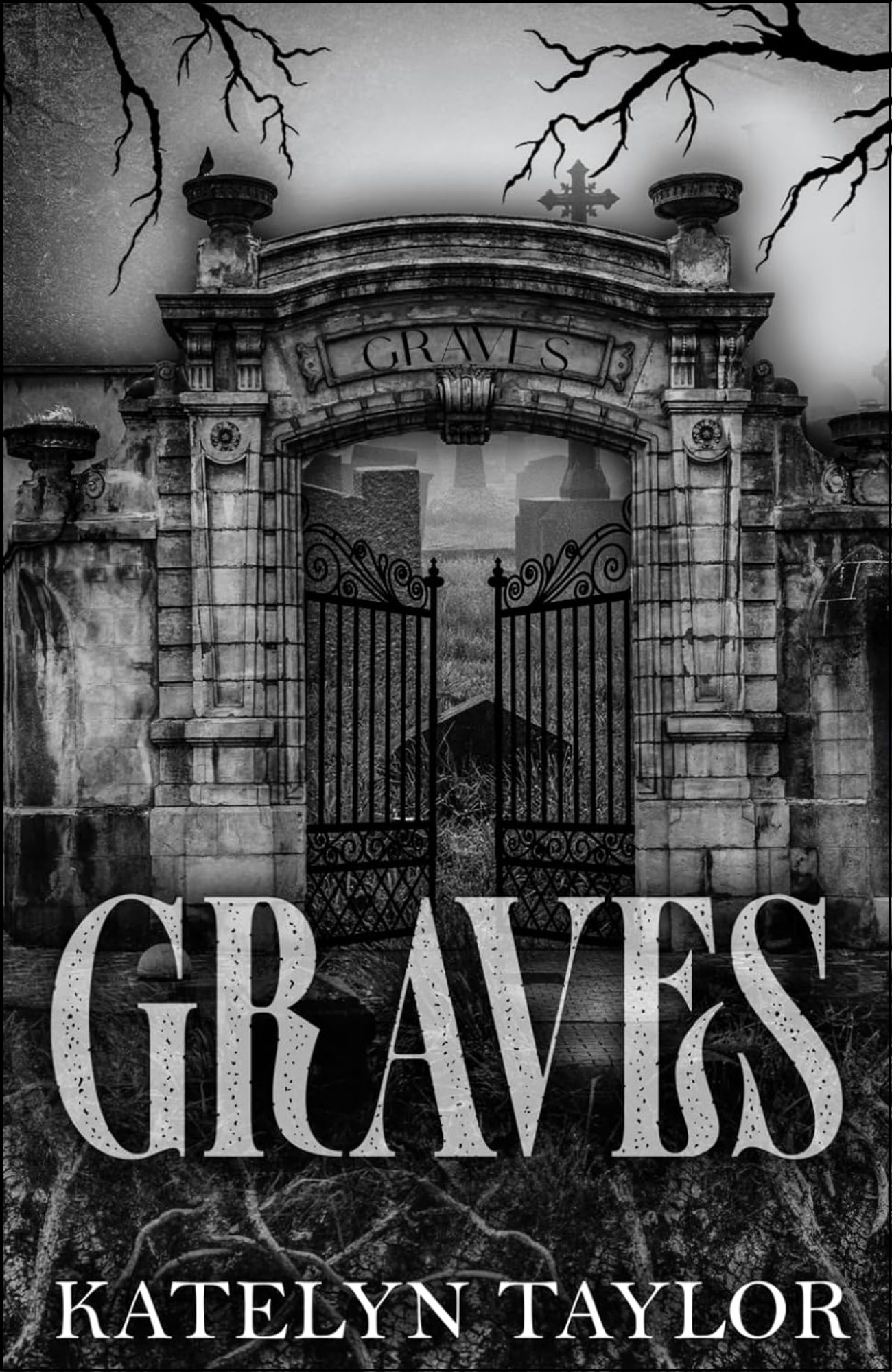Graves by Katelyn Taylor (Author)