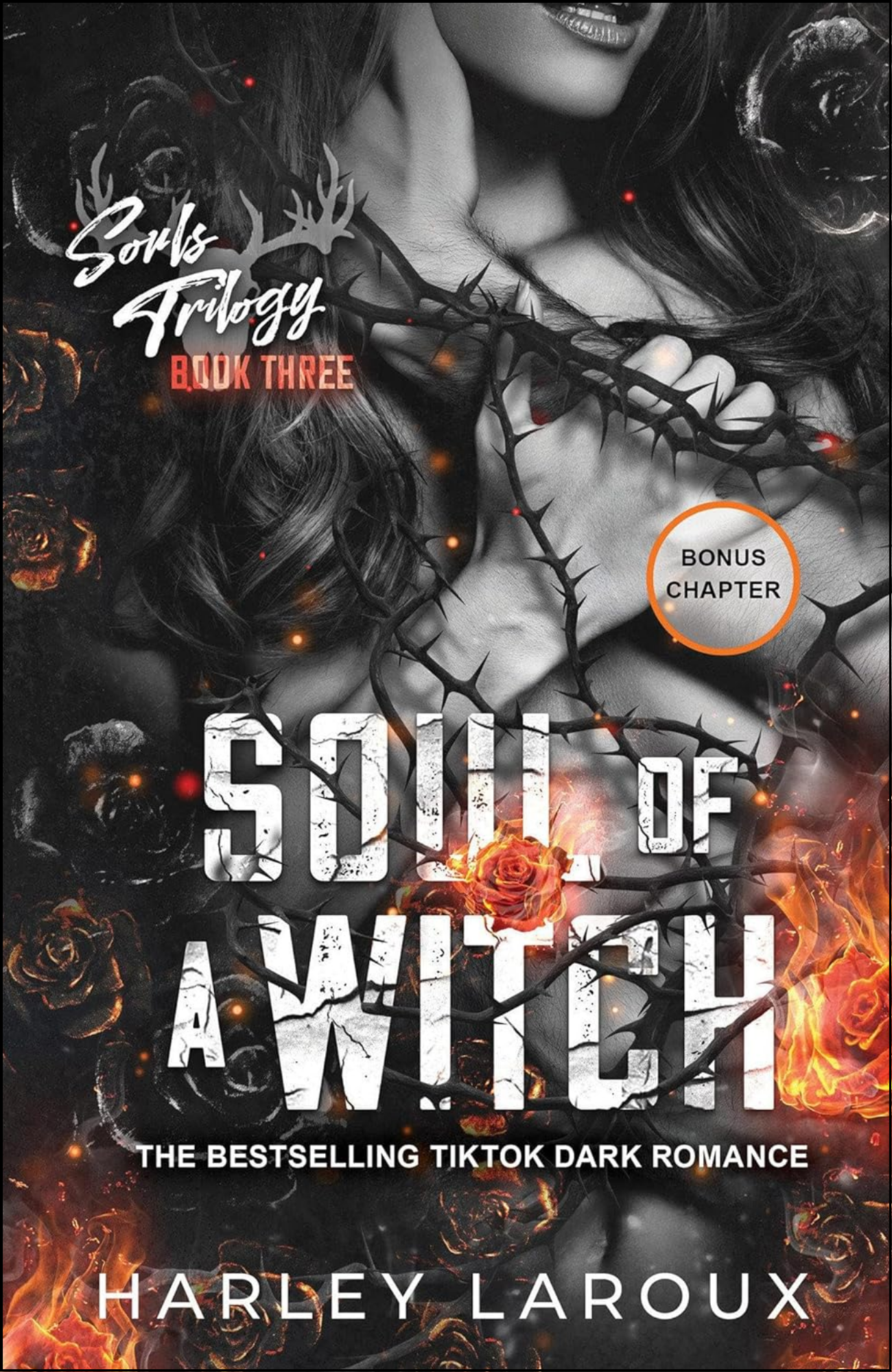Soul of a Witch by Harley Laroux (Author)