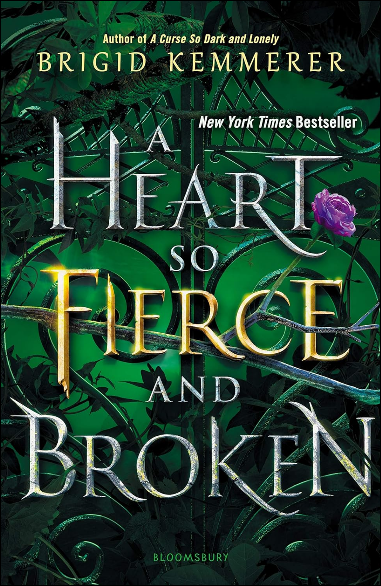 Heart So Fierce and Broken by Brigid Kemmerer (Author)