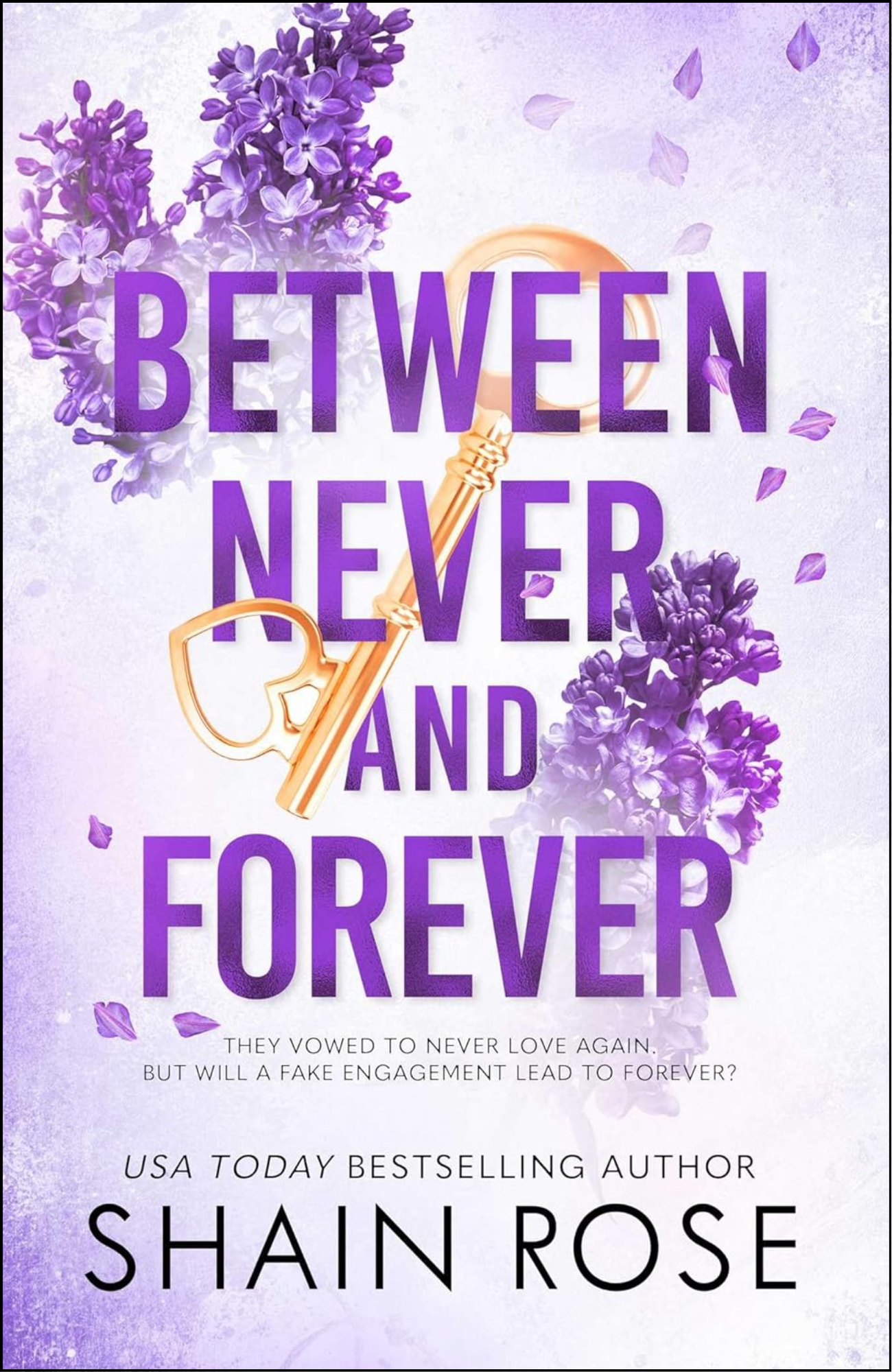 Between Never and Forever by Shain Rose (Author)