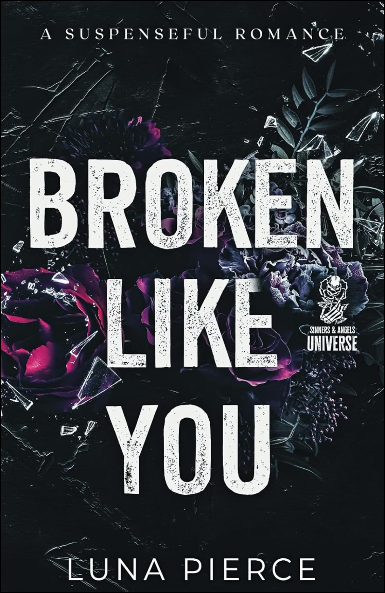 Broken Like You by Luna Pierce (Author)