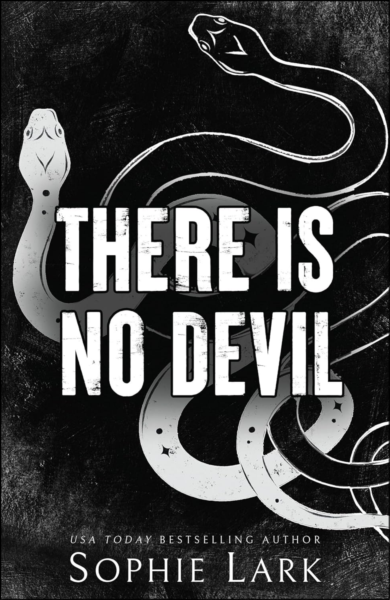 There Is No Devil by Sophie Lark (Author)
