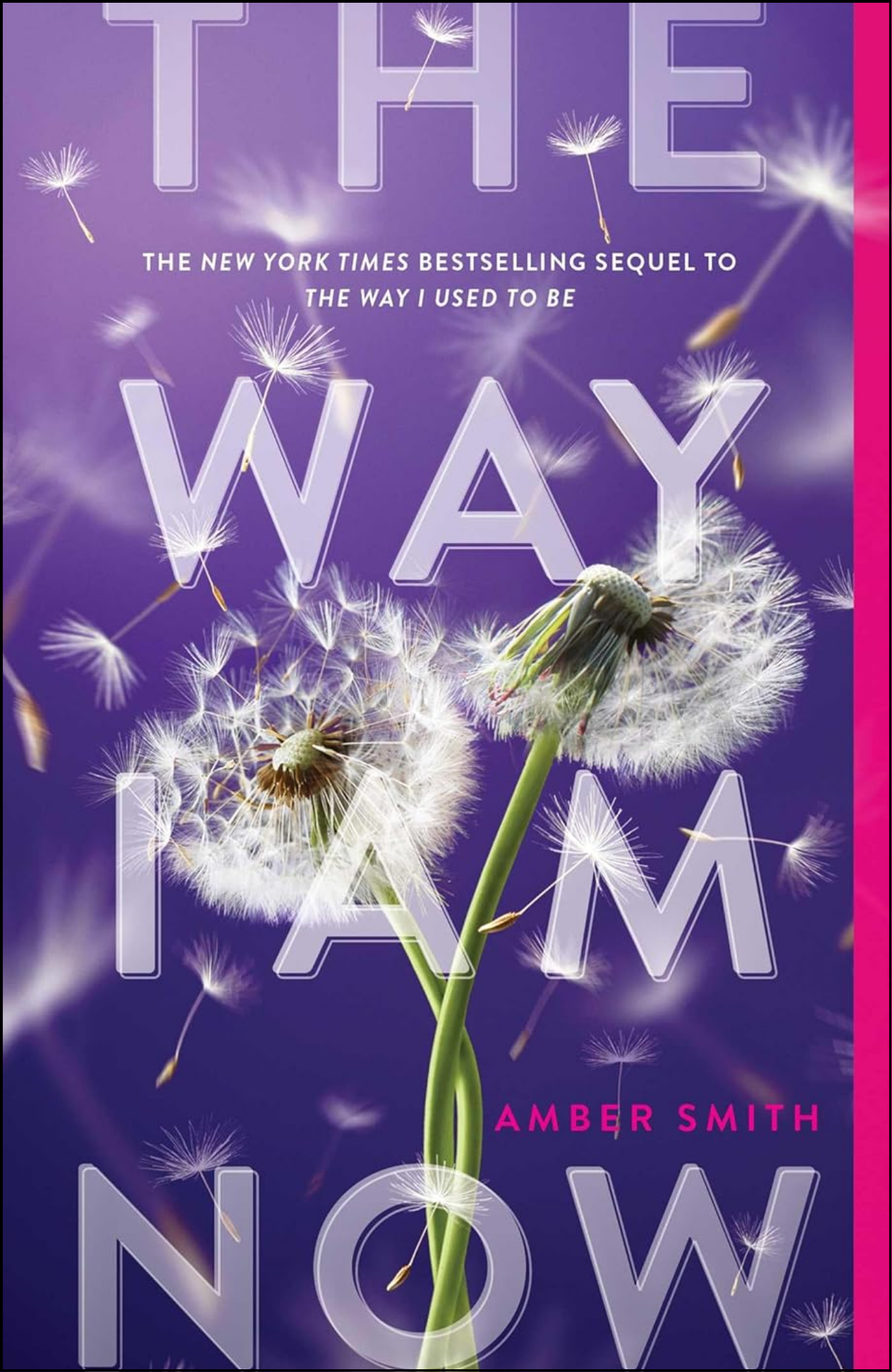 The Way I Am Now by Amber Smith (Author)