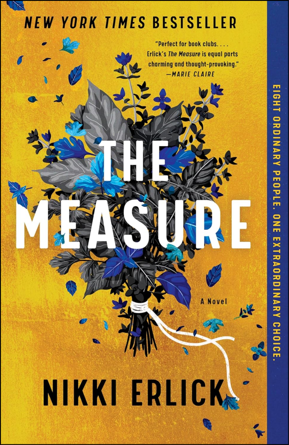 The Measure: A Novel by Nikki Erlick (Author)