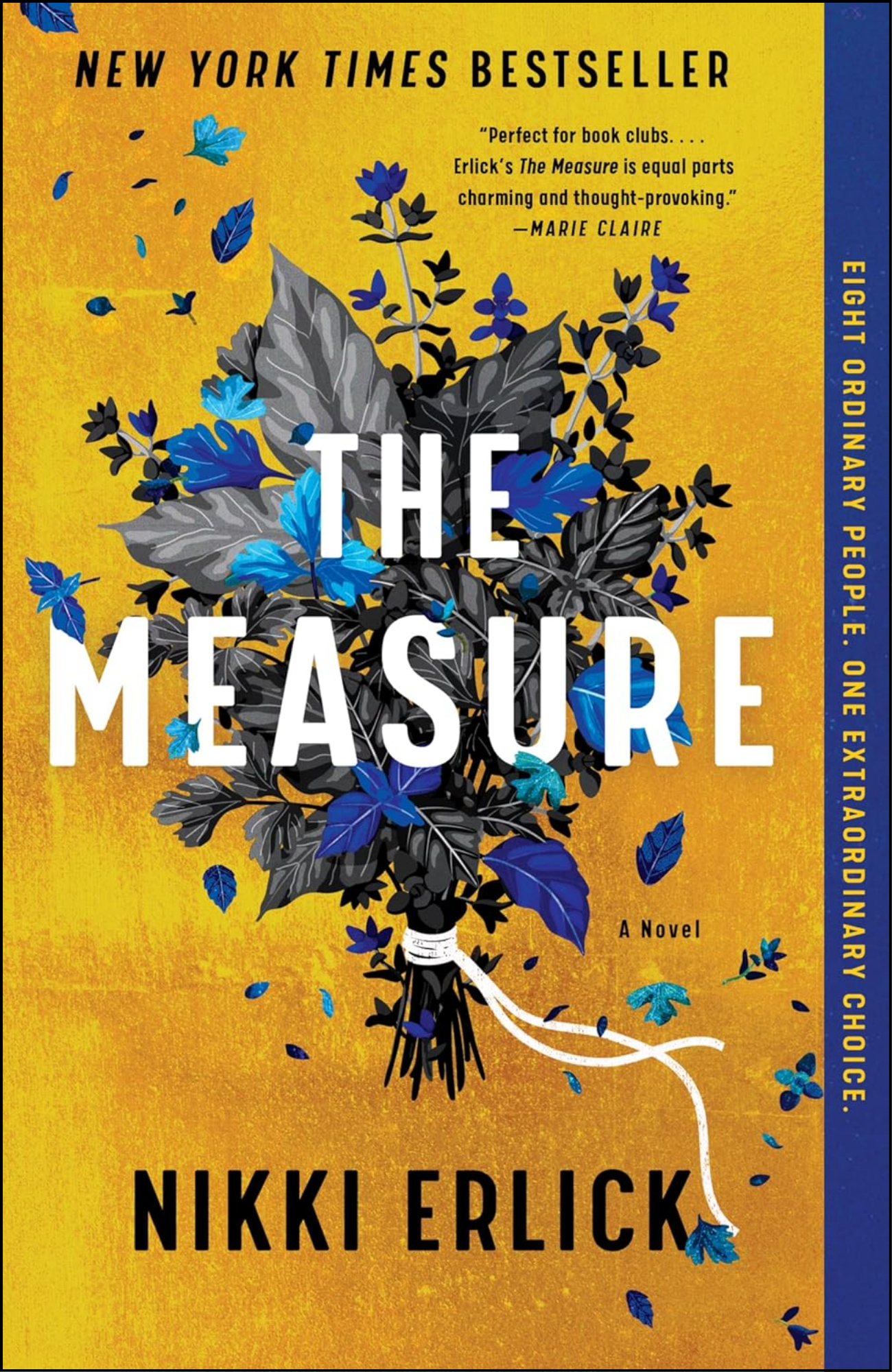 The Measure: A Novel by Nikki Erlick (Author)