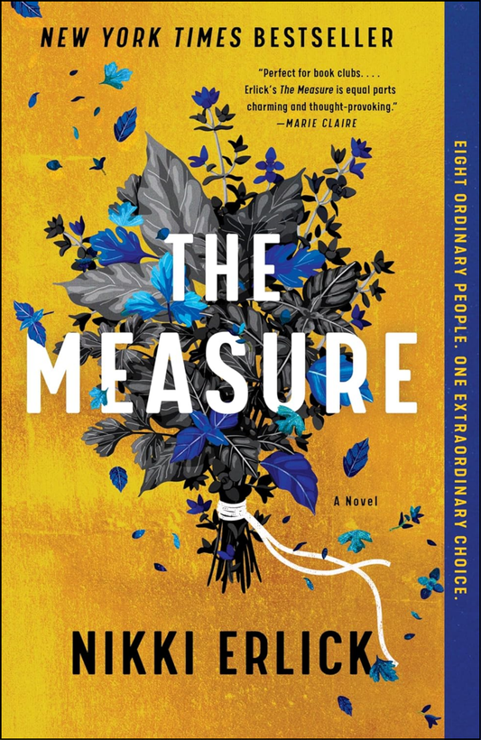 The Measure: A Novel by Nikki Erlick (Author)