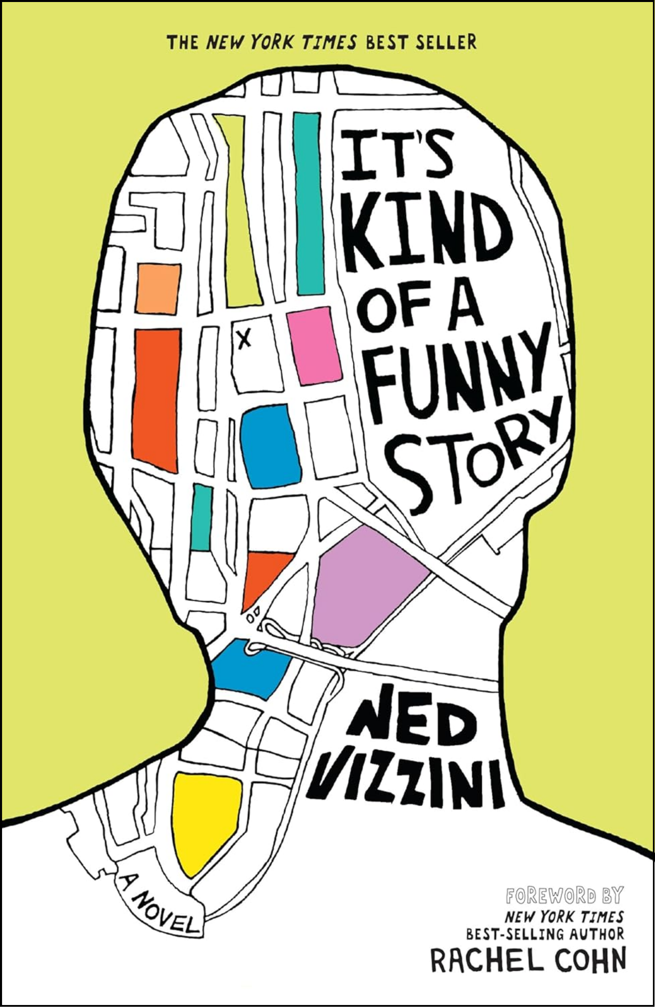 It's Kind of a Funny Story by Ned Vizzini (Author)