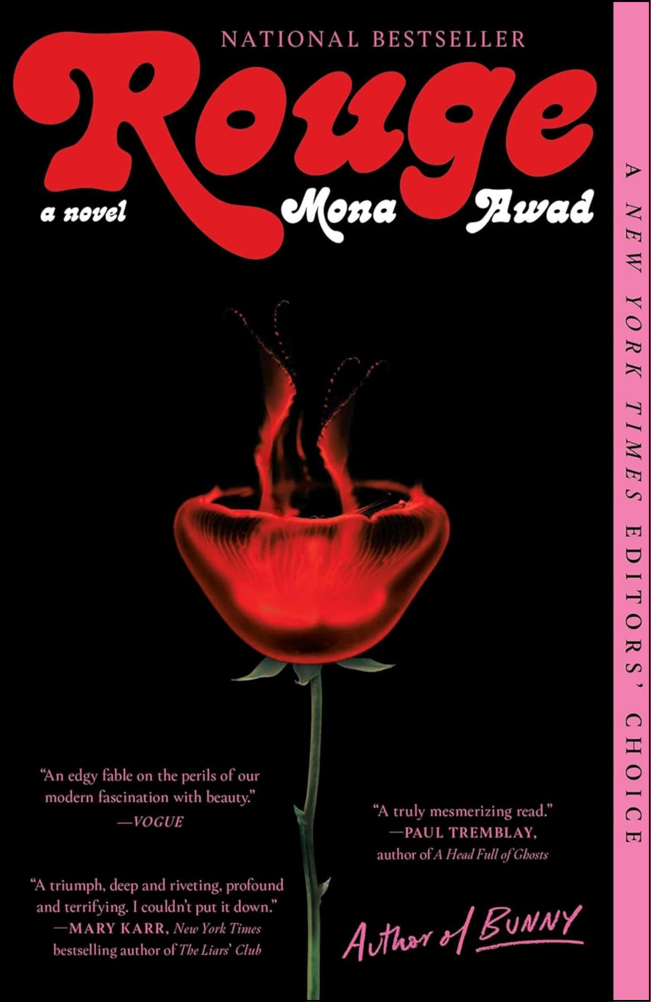 Rouge by Greer Rivers (Author)