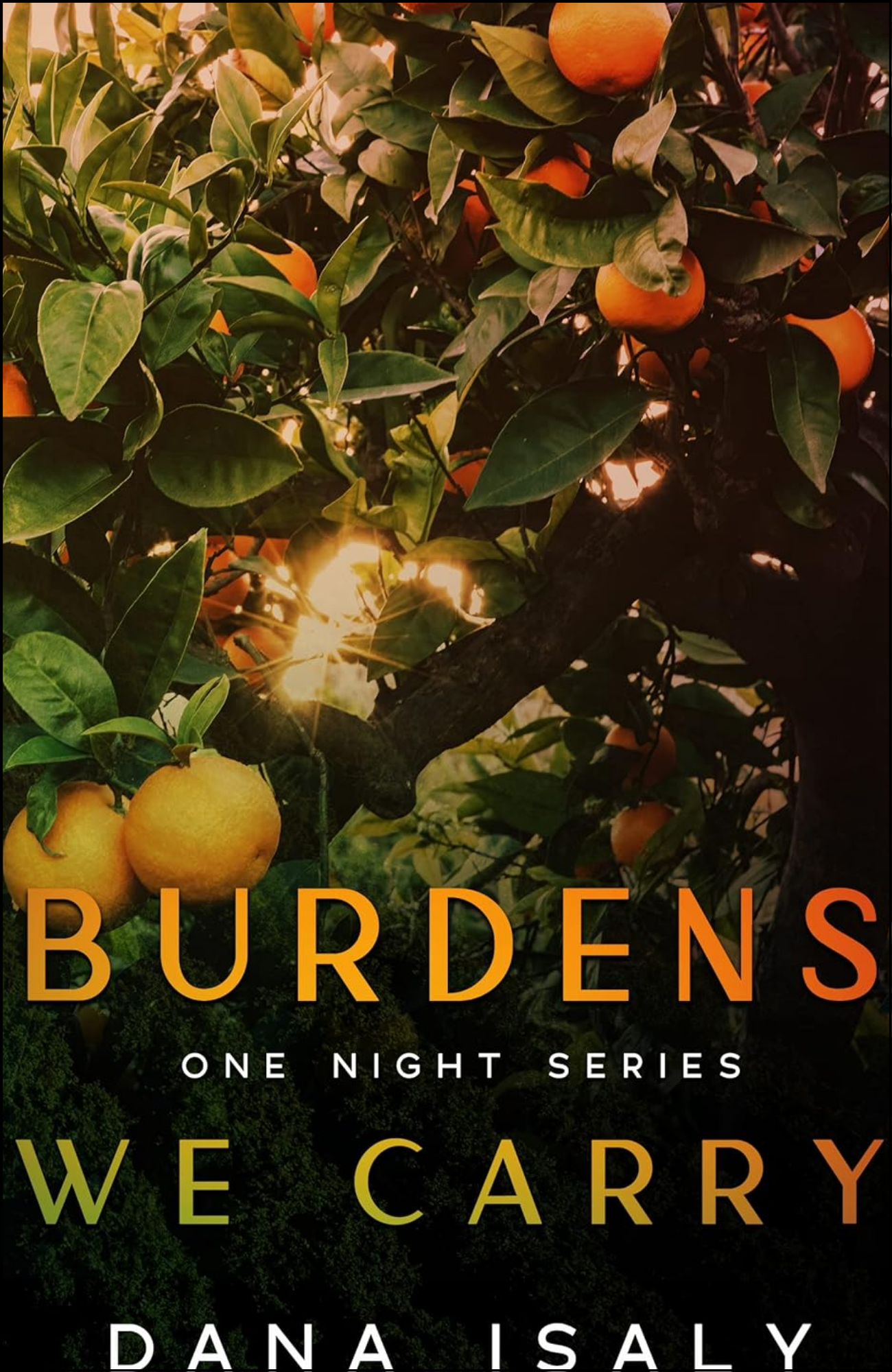 Burdens We Carry by Dana Isaly (Author)