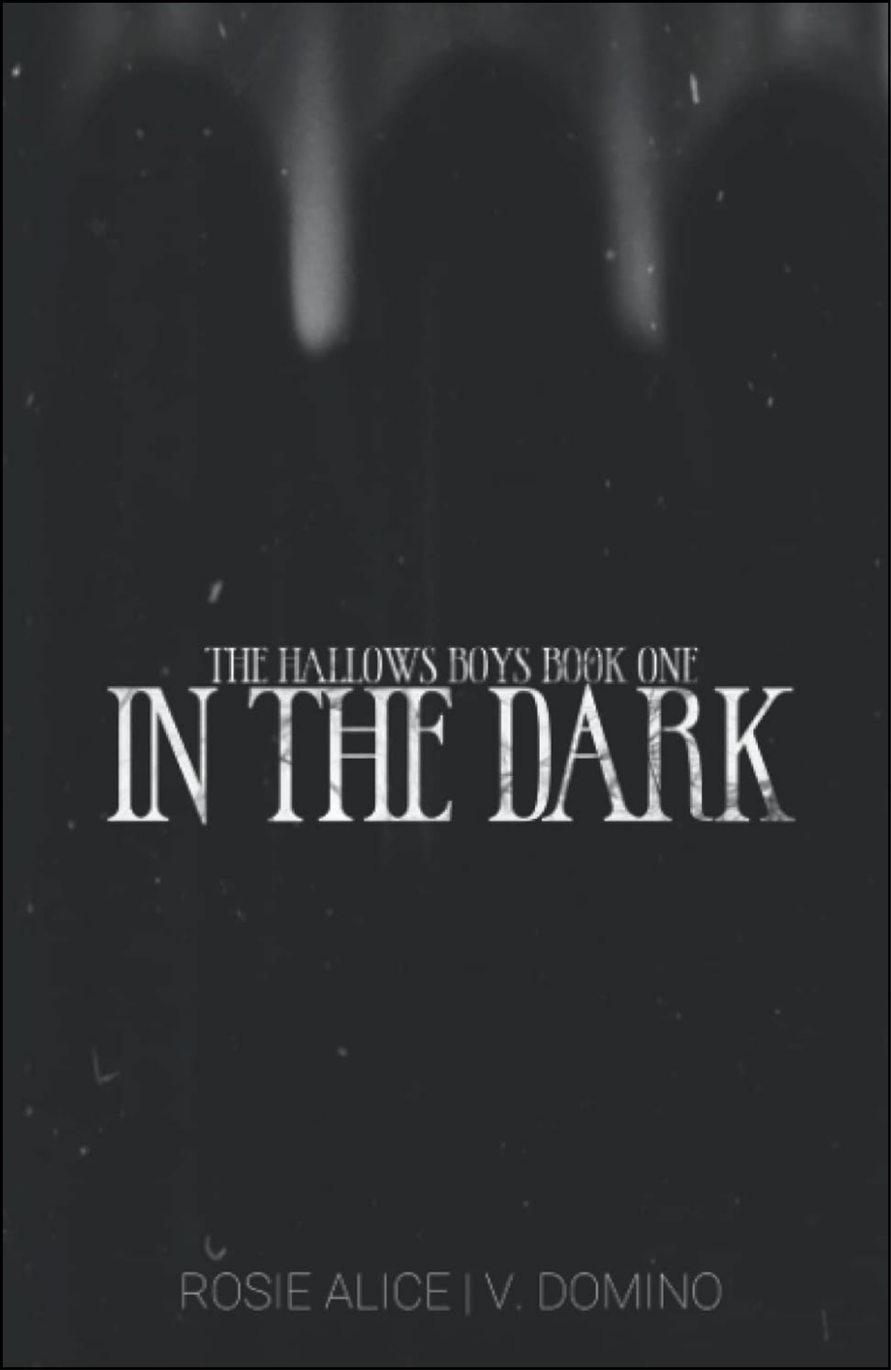 In The Dark by Rosie Alice (Author)