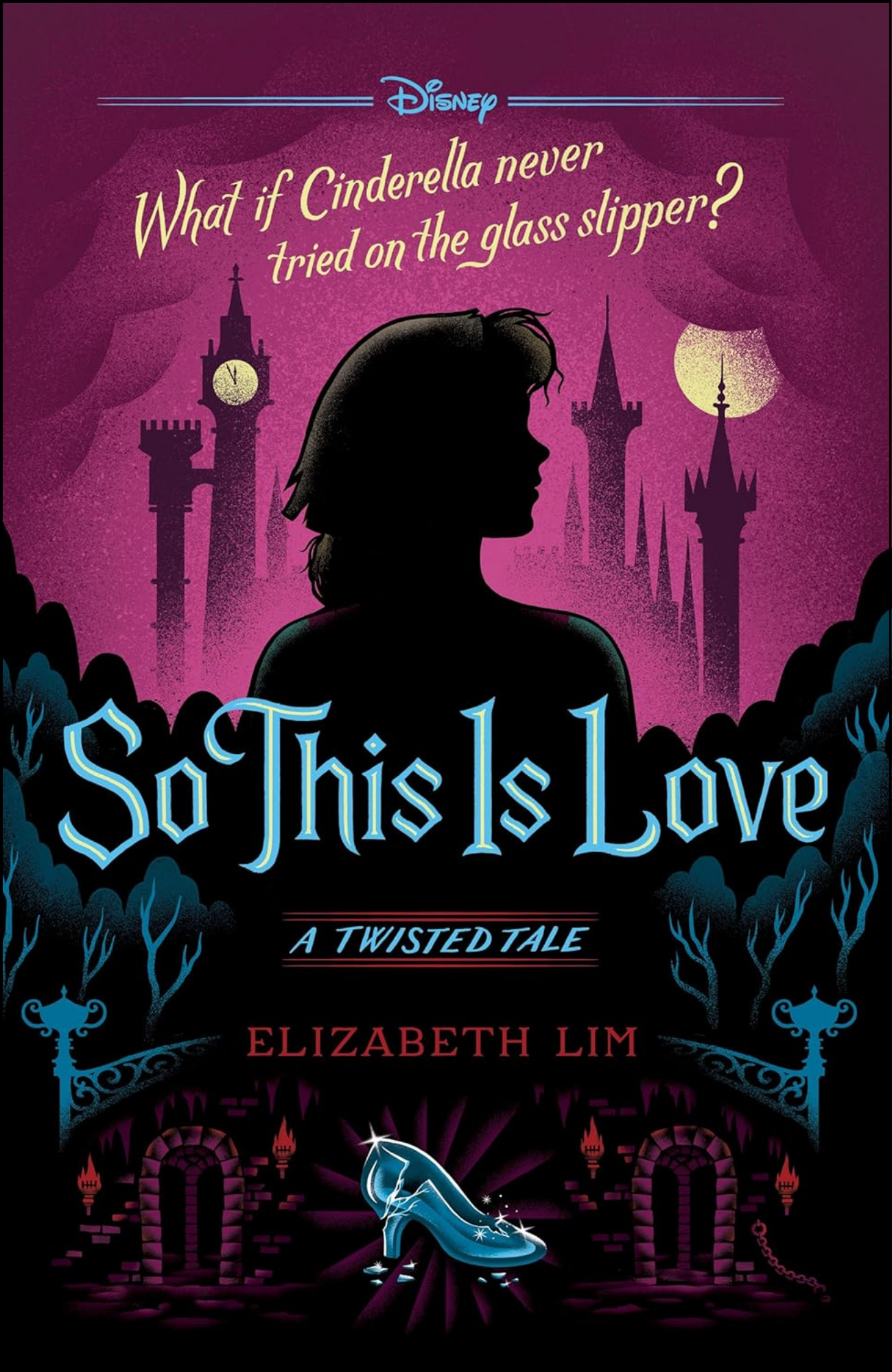 So This is Love by Liz Braswell (Author)