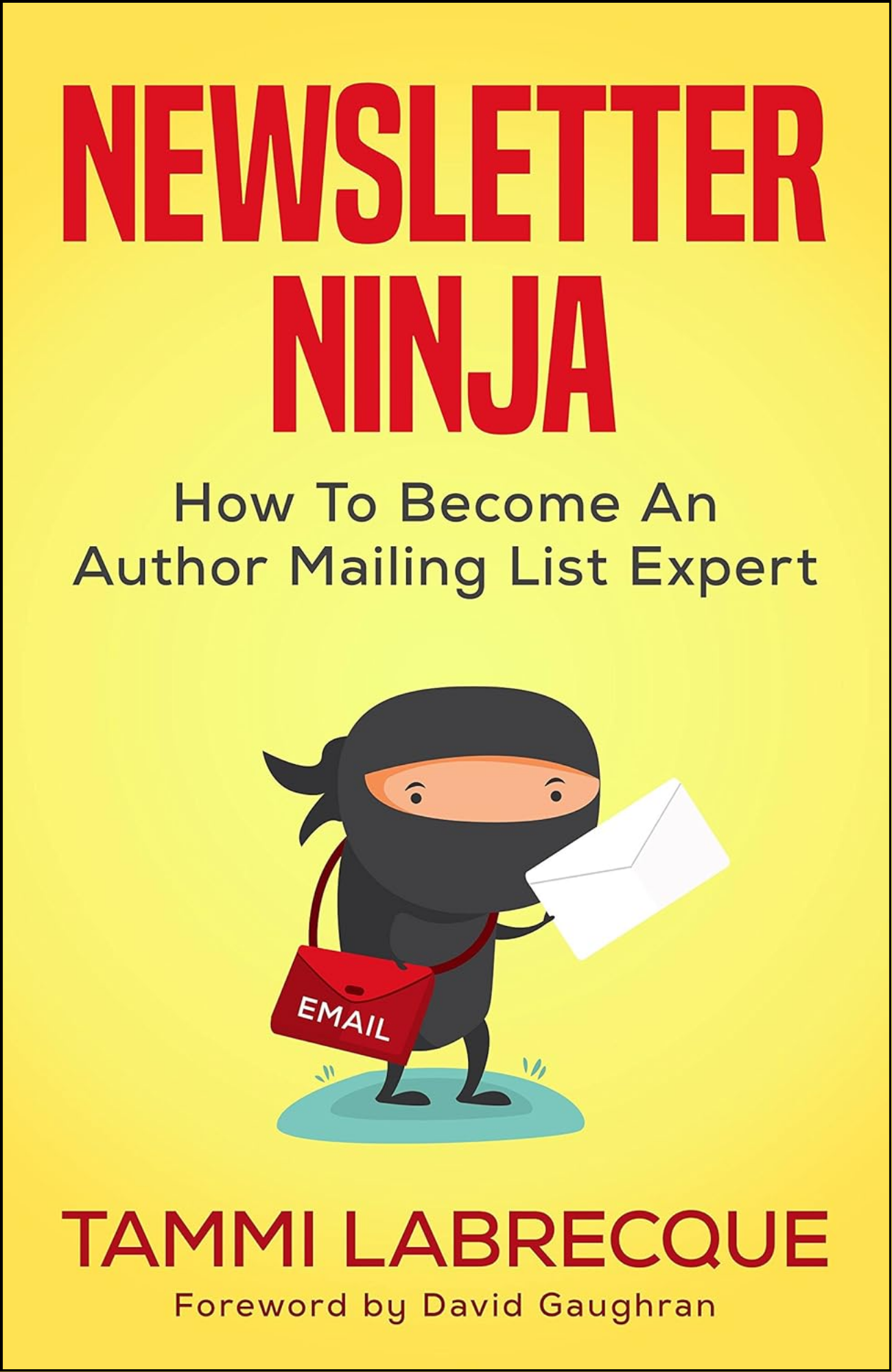 Newsletter Ninja by Tammi Labrecque (Author)