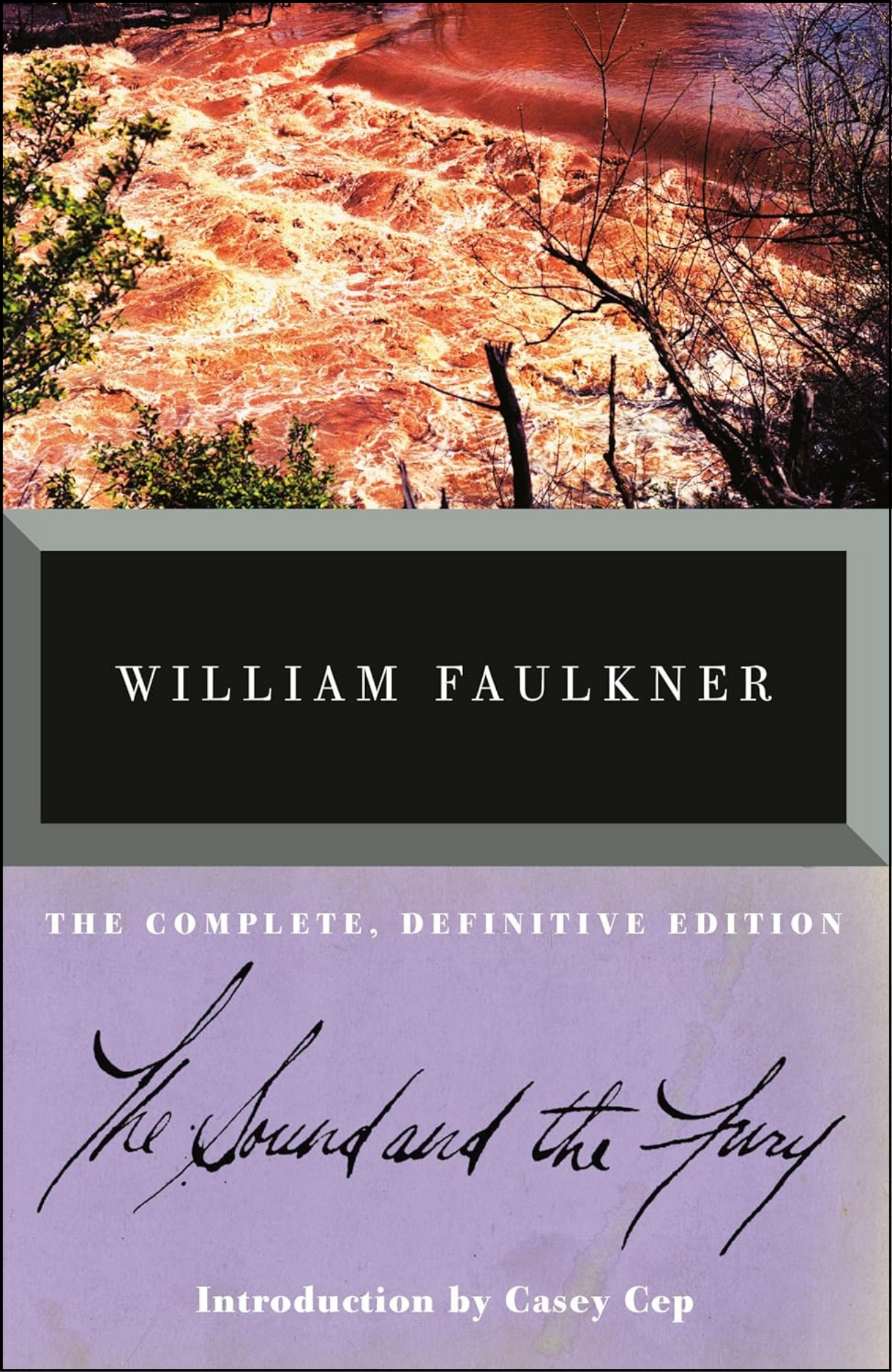 The Sound and the Fury by William Faulkner (Author)