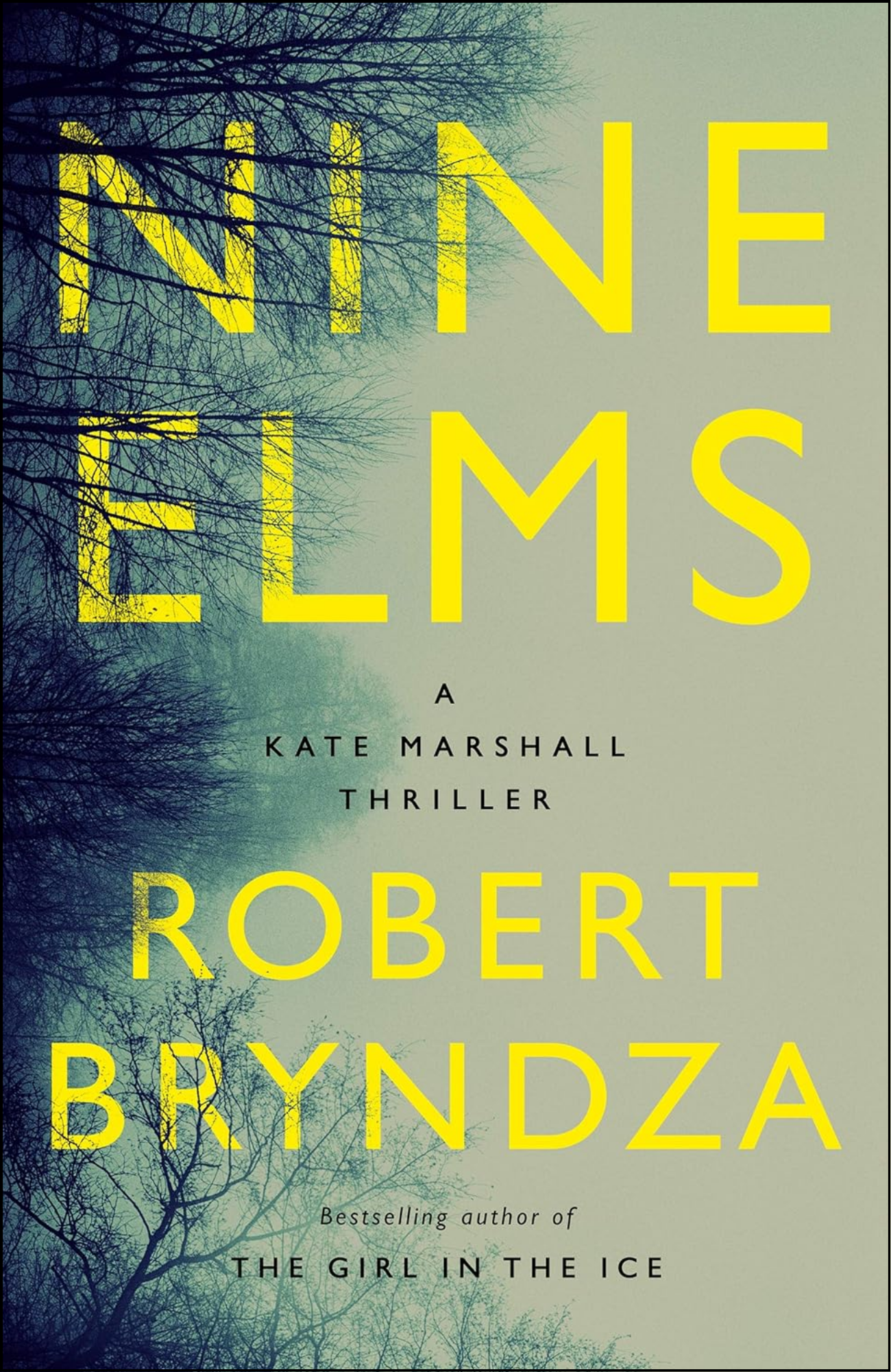 Nine Elms by Robert Bryndza (Author)