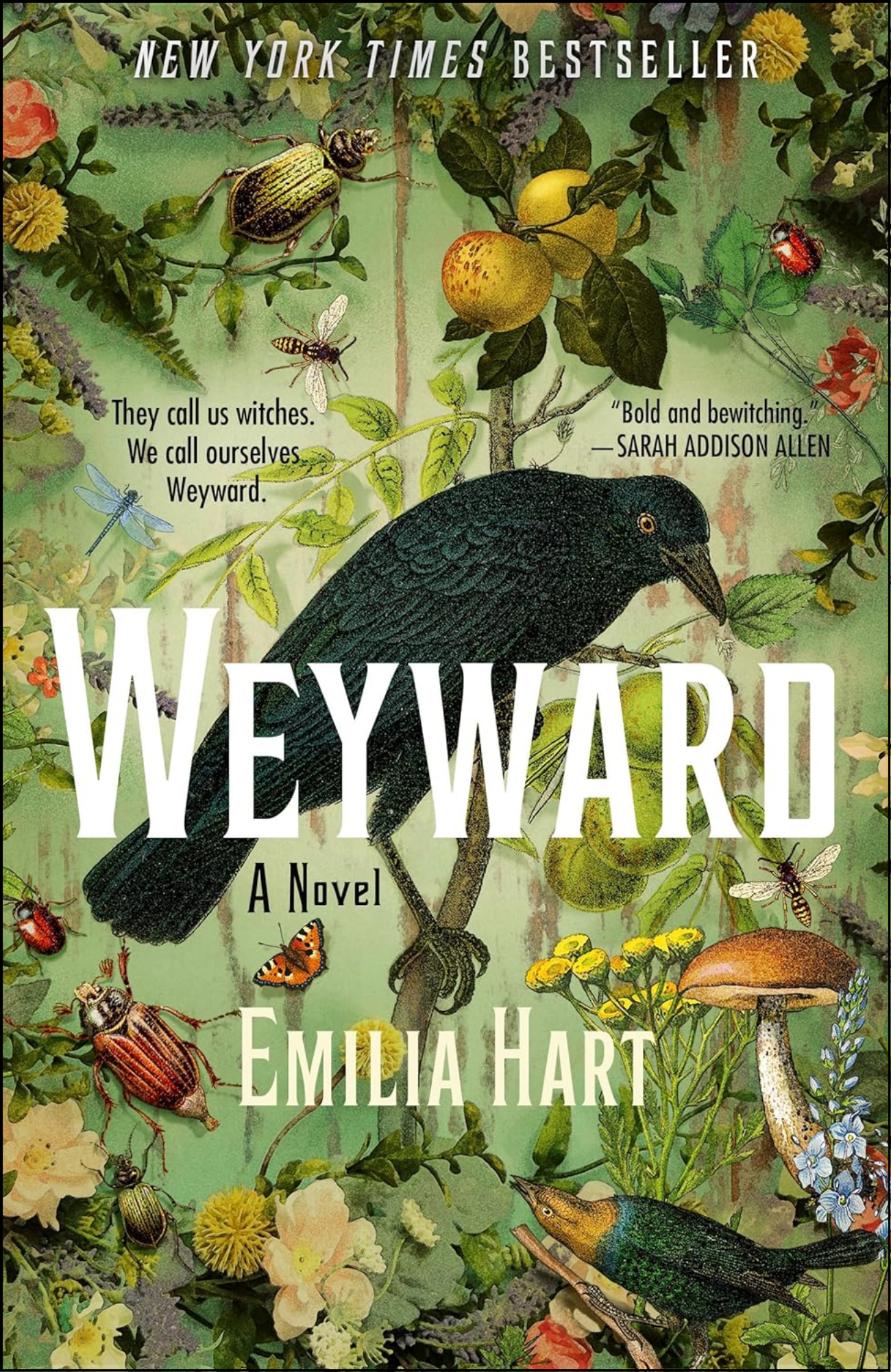 Weyward by Emilia Hart (Author)
