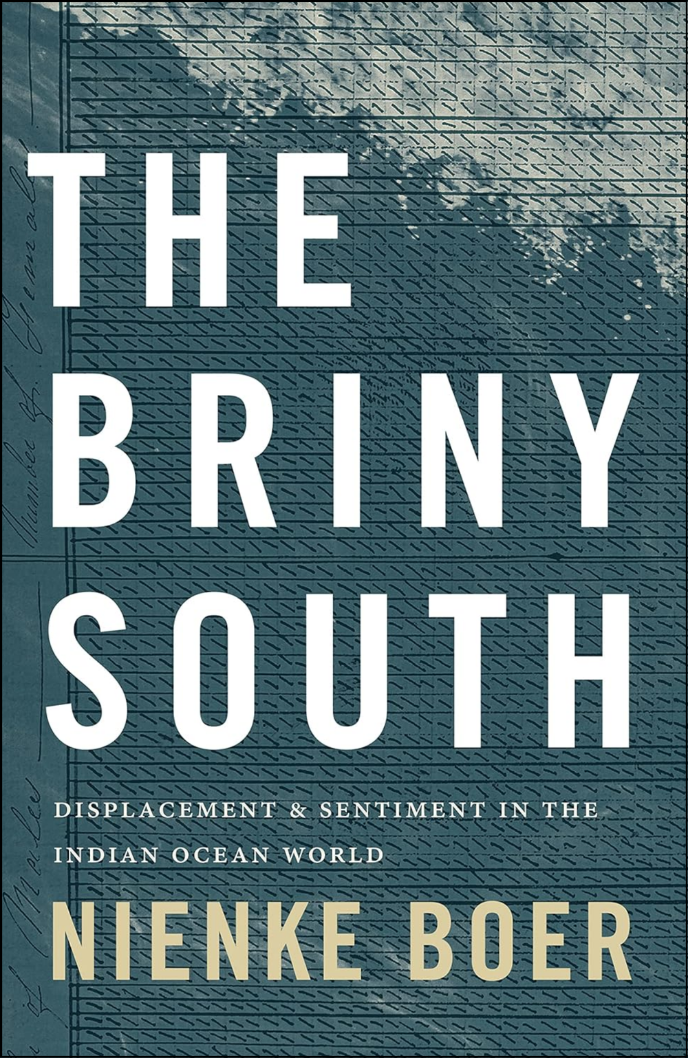 The Briny South by Nienke Boer (Author)
