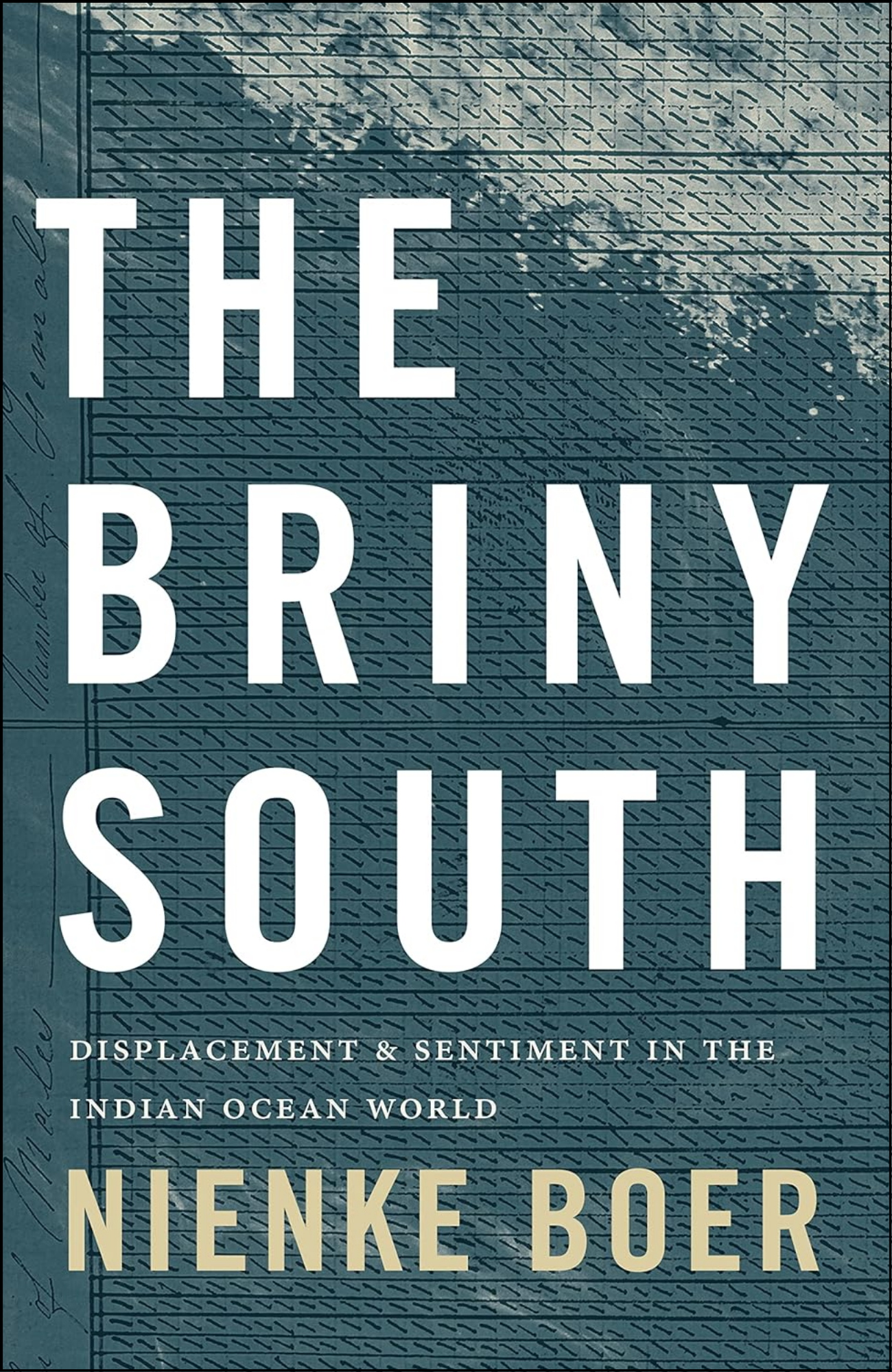 The Briny South by Nienke Boer (Author)