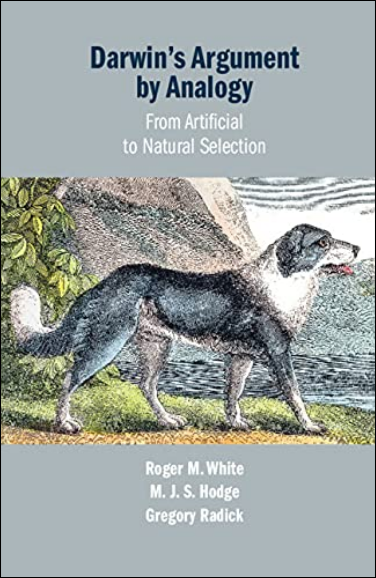 Darwin's Argument by Analogy by Roger M. White (Author)