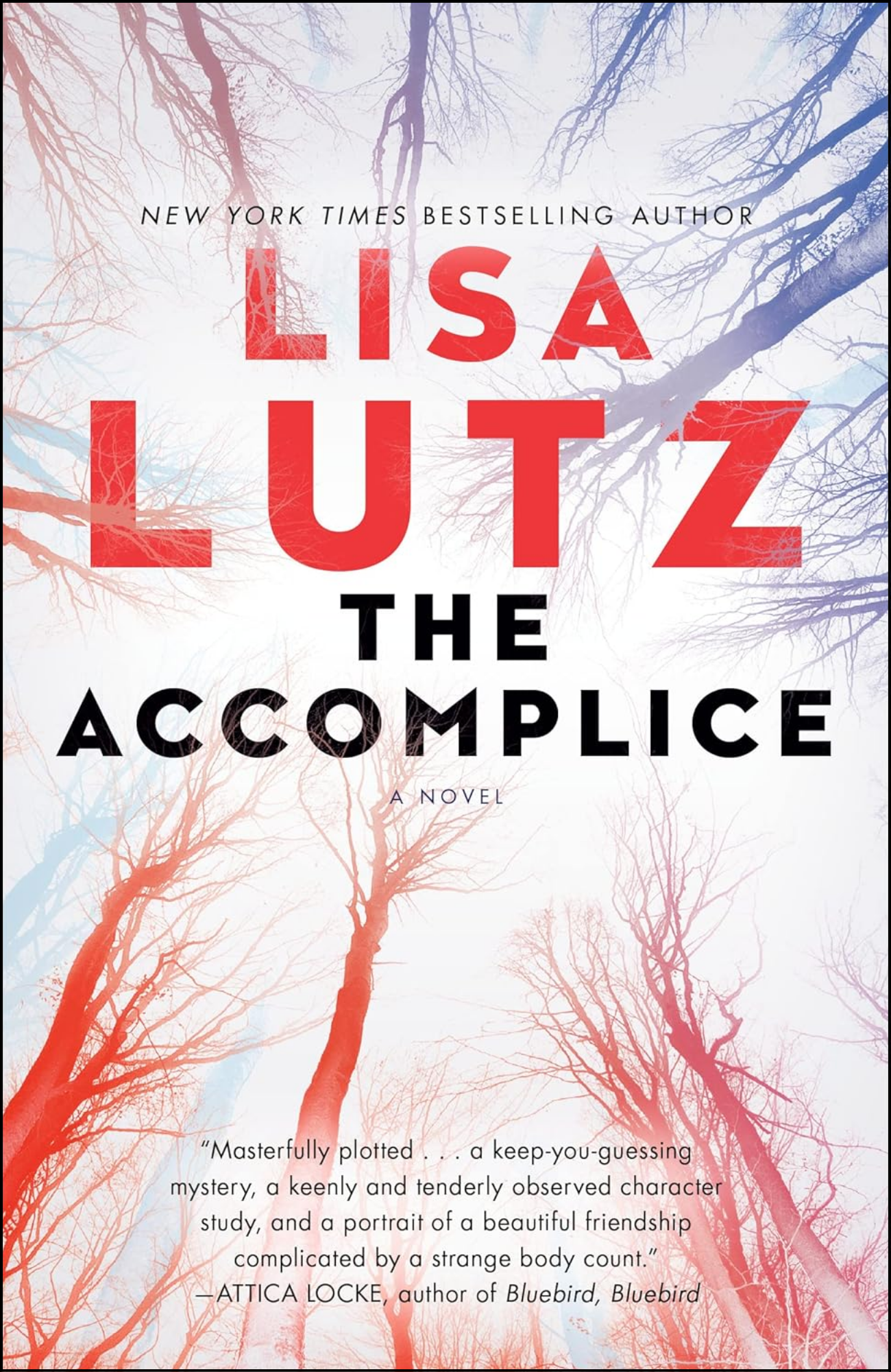 The Accomplice by Lisa Lutz (Author)
